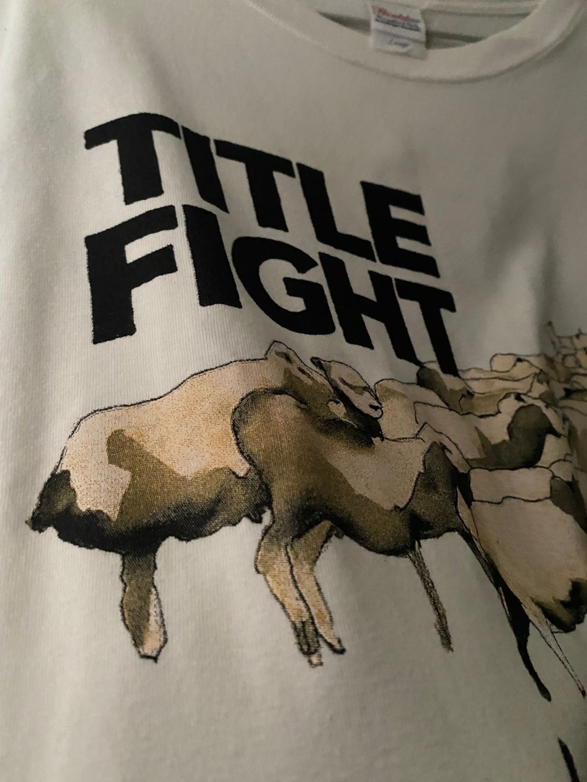 Band Tees Title fight hardcore band tee Size US L / EU 52-54 / 3 - 2 Thumbnail