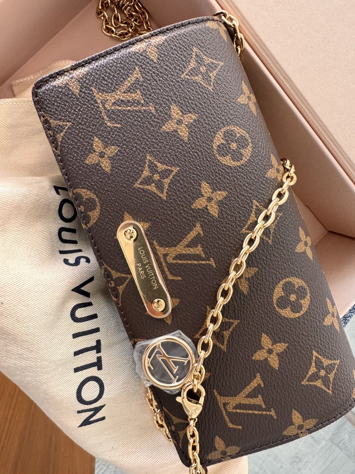 Louis Vuitton Brand new LV shoulder bag Size ONE SIZE - 1 Thumbnail