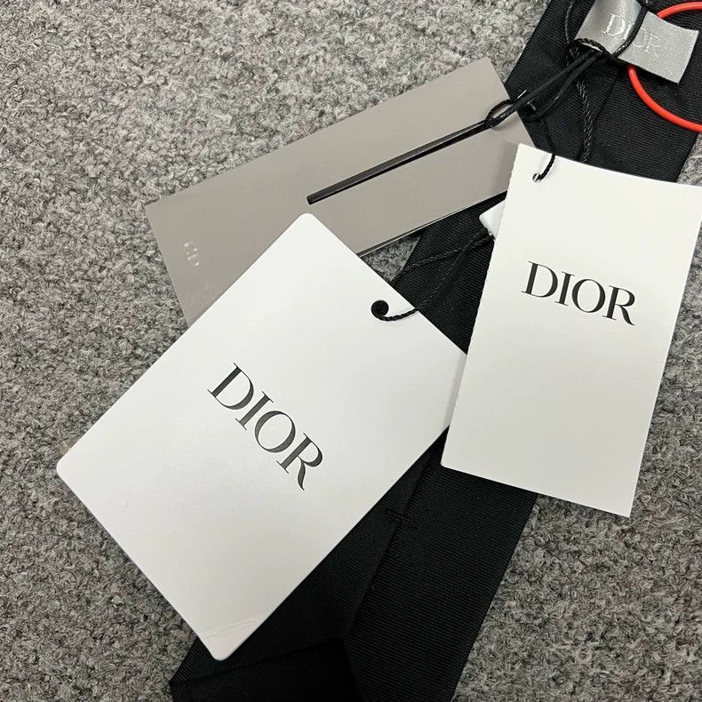 Dior dior embroidered logo tie with tags-2507