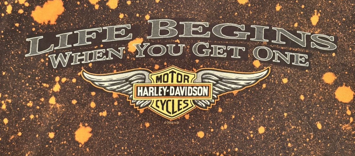 Harley Davidson Vintage y2k Harley Davidson custom bleached Shirt Size US M / EU 48-50 / 2 - 3 Thumbnail