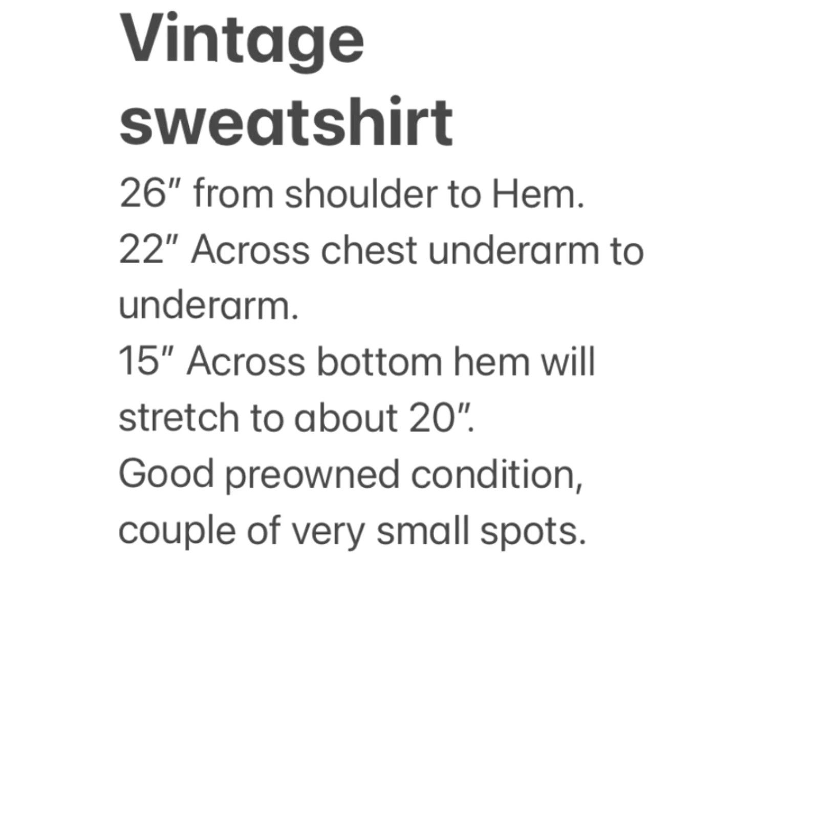 Hanes VINTAGE Hanes Ski Sweatshirt Unisex Size XL Green 1990s Cotton Blend Long Sleeve Made in USA Size US XL / EU 56 / 4 - 5 Thumbnail