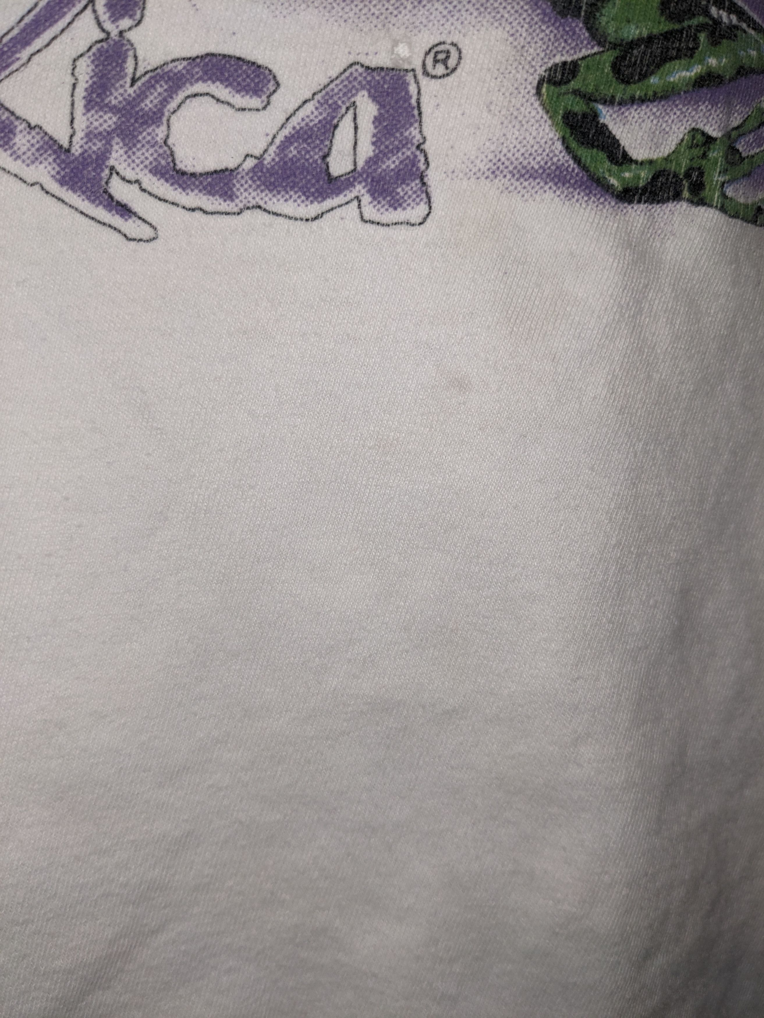 Vintage Vintage 90s Frogs Ranas Coasta Rica Animal Nature T-Shirt Size US L / EU 52-54 / 3 - 4 Thumbnail