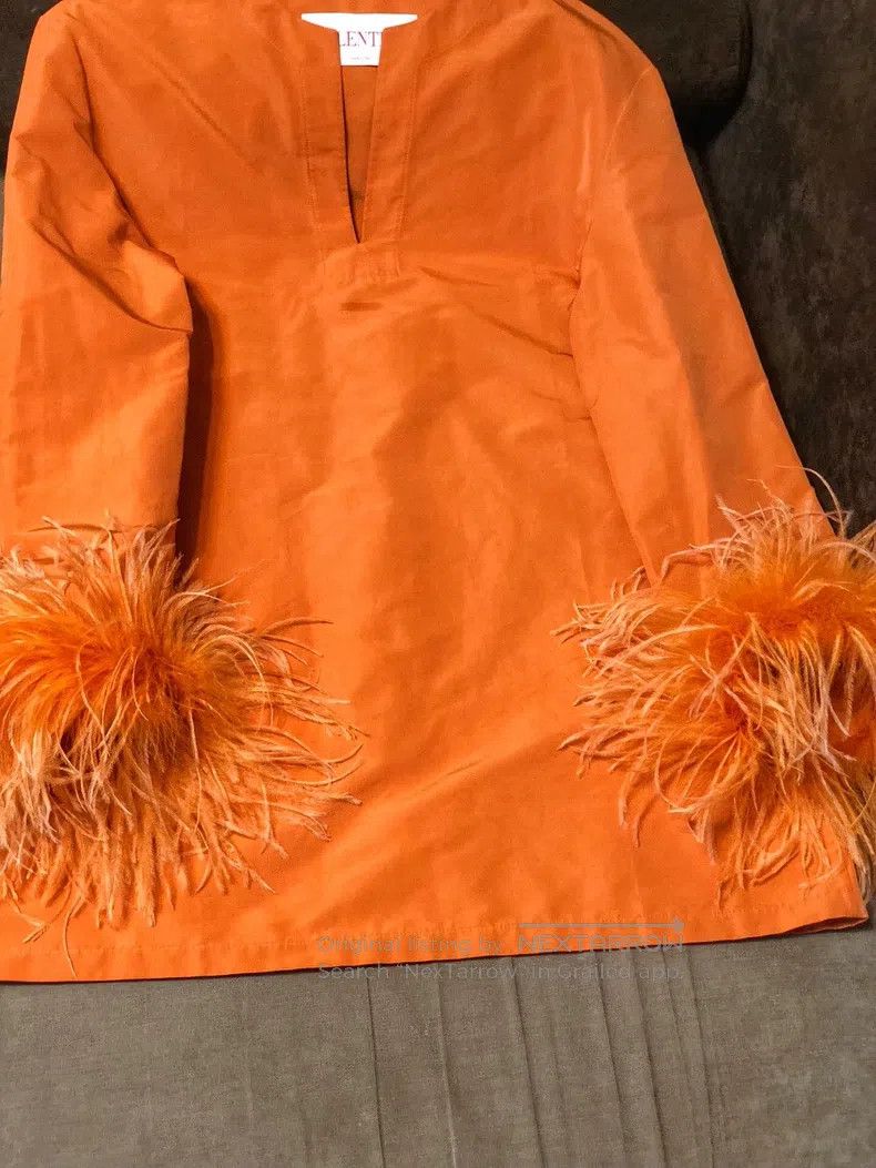 Valentino Valentino Hermès orange feather ostrich dress Size M / US 6-8 / IT 42-44 - 5 Thumbnail
