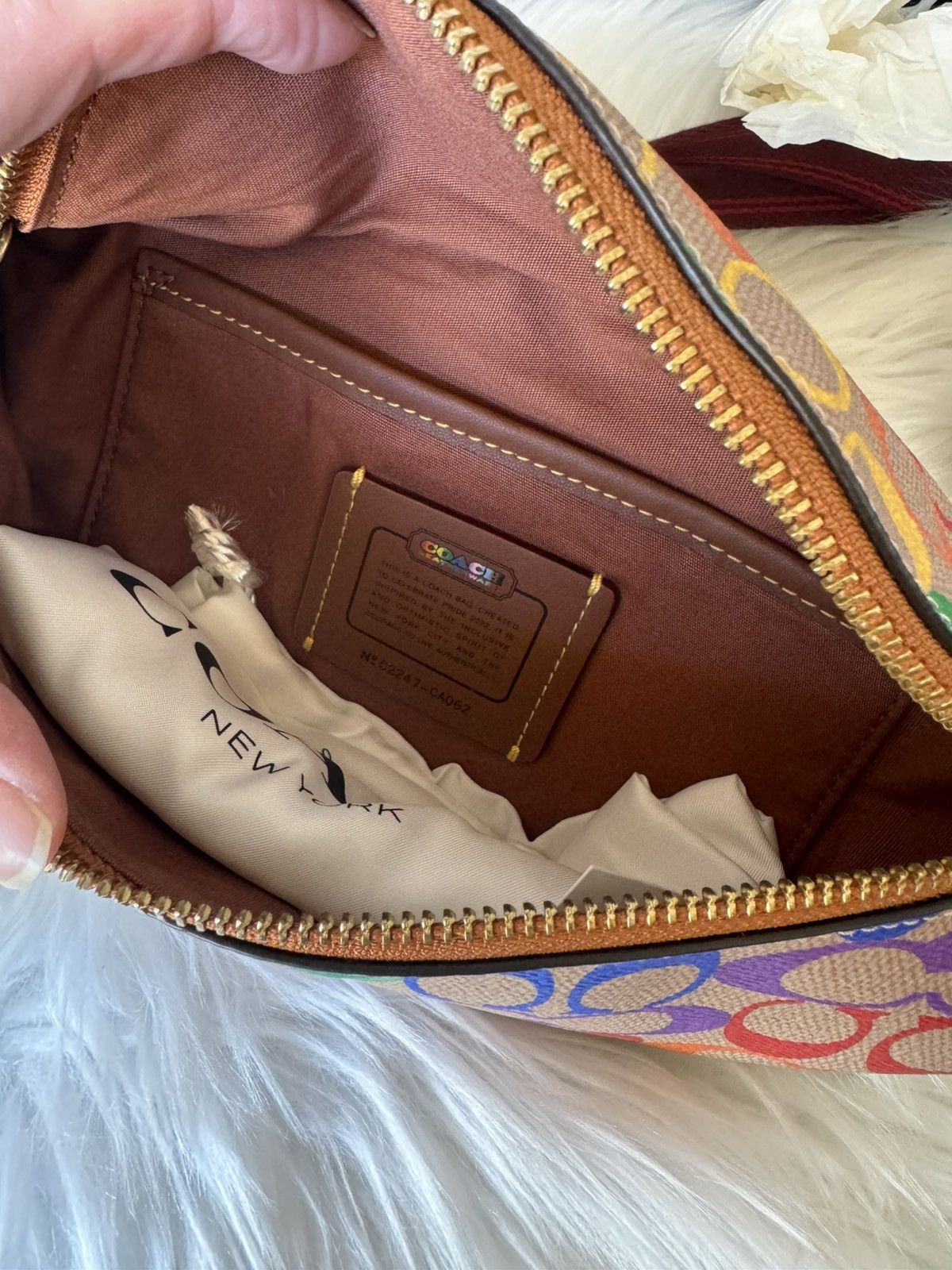 Coach Coach Charter Belt Bag 7 In Rainbow Signature Canvas Size ONE SIZE - 9 Thumbnail