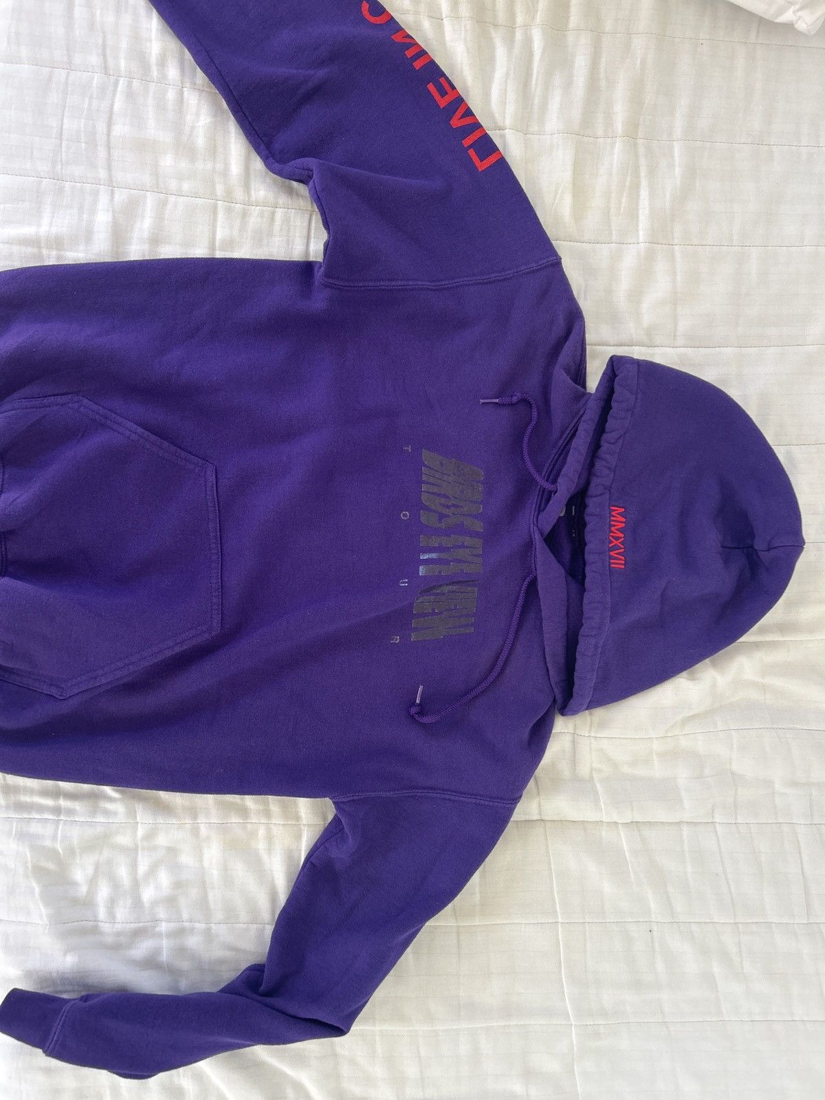 Travis Scott Travis Scott “Birds Eye View” hoodie from tour Size US S / EU 44-46 / 1 - 1 Thumbnail