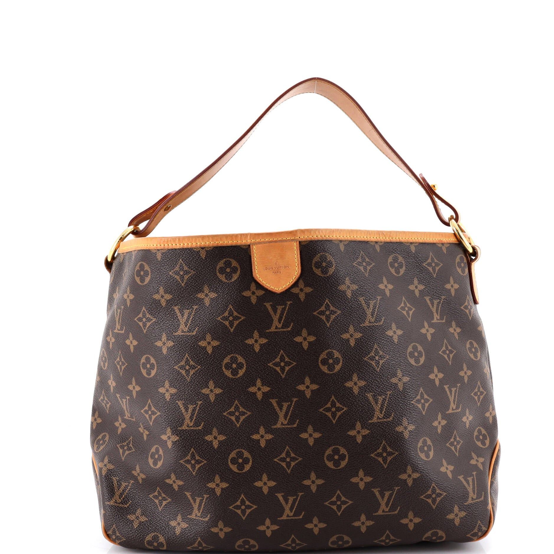 Louis Vuitton Delightful Handbag Size ONE SIZE - 1 Thumbnail