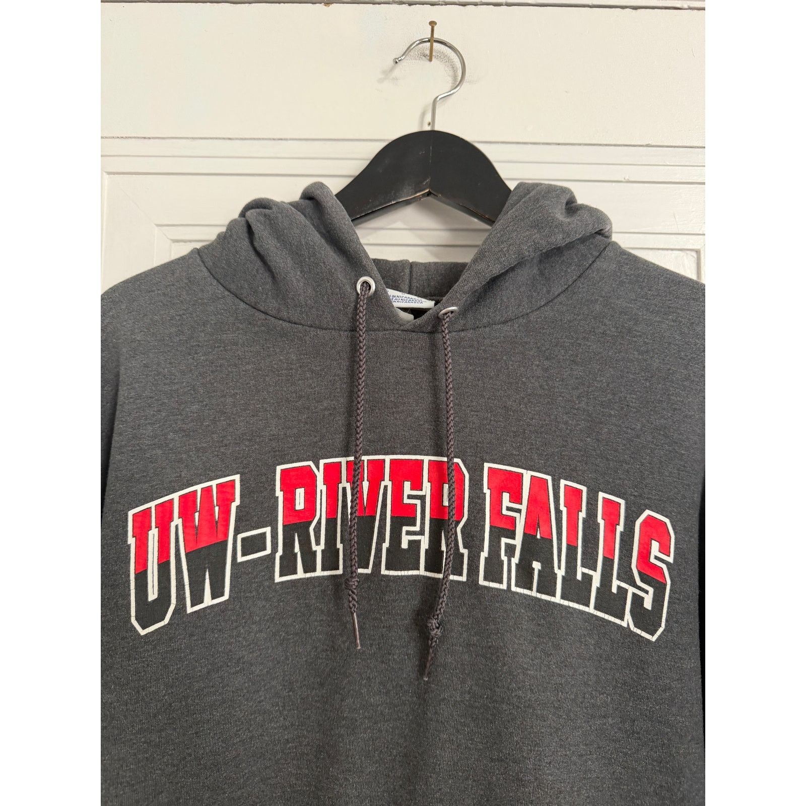 Champion UW River Falls Falcons Champion Hoodie Size Large Size US L / EU 52-54 / 3 - 2 Thumbnail