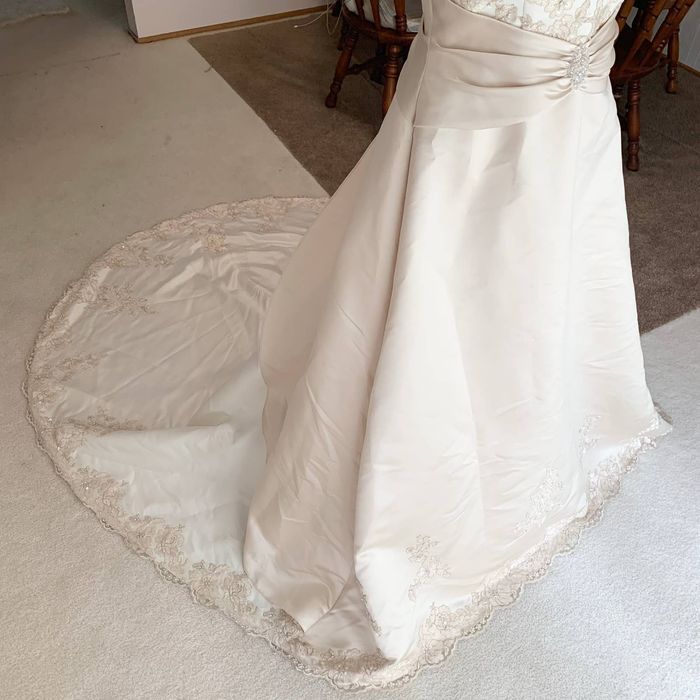 David's hot sale bridal champagne