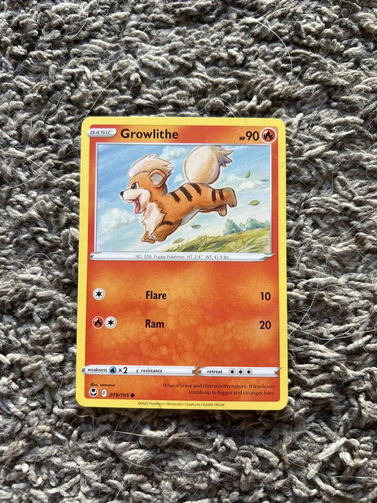 Pokemon 2022 Pokémon Growlithe Basic Card Size ONE SIZE - 1 Thumbnail