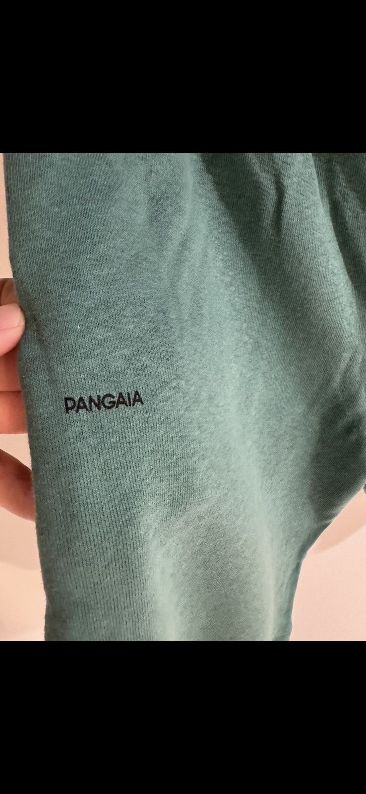 Pangaia Pangaia shorts Size US 32 / EU 48 - 4 Thumbnail