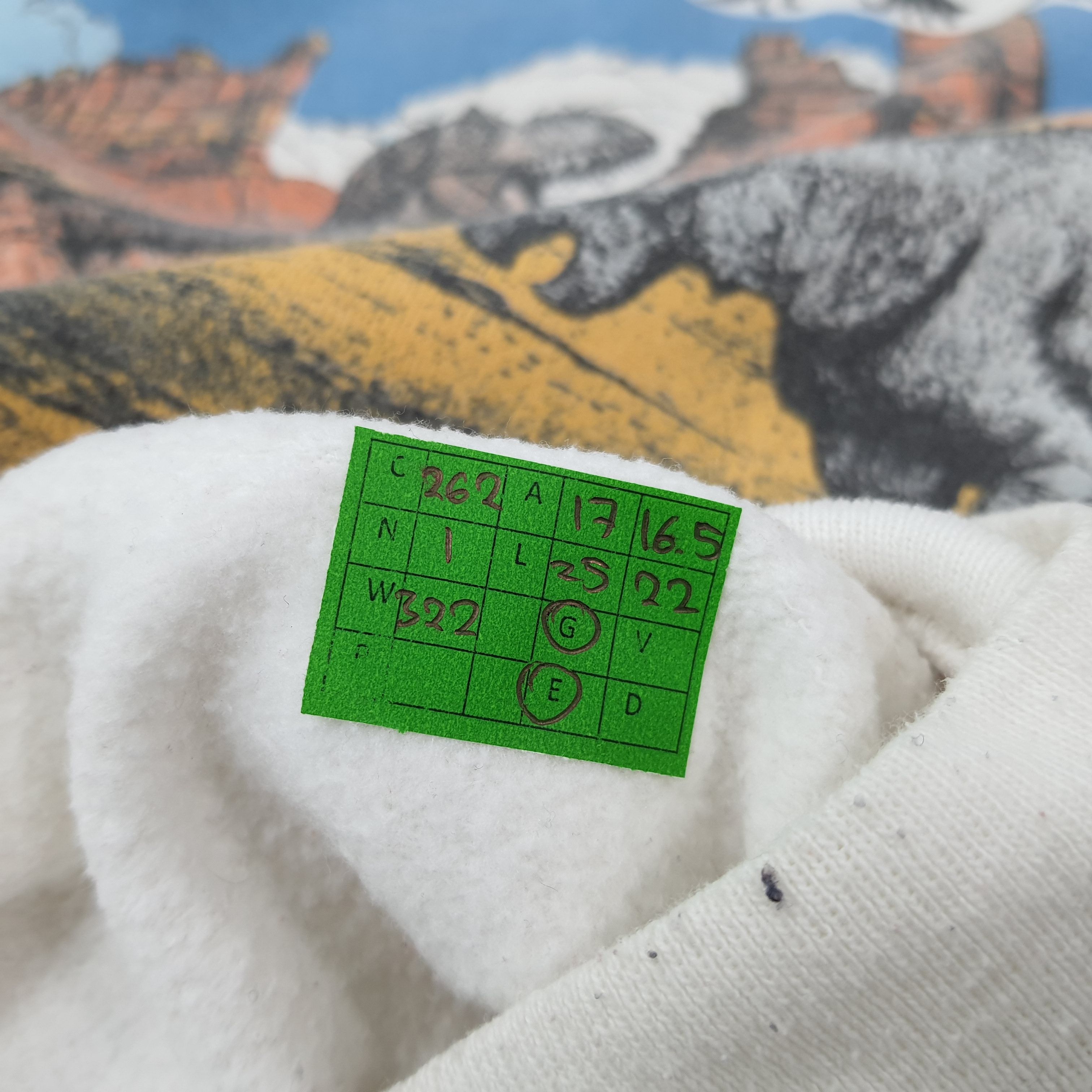 Jerzees Vintage 90s Suwannee Case CQ Dinosaur Sweatshirt C262N1 Size US XS / EU 42 / 0 - 7 Thumbnail
