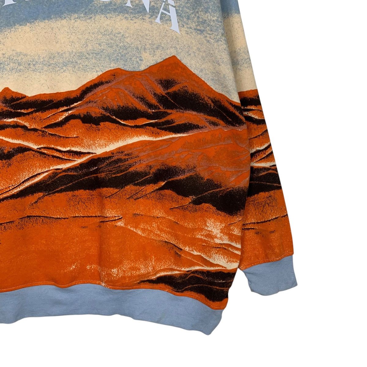 ARIZONA Nature Graphics Printed Sweatshirts #1879-C82