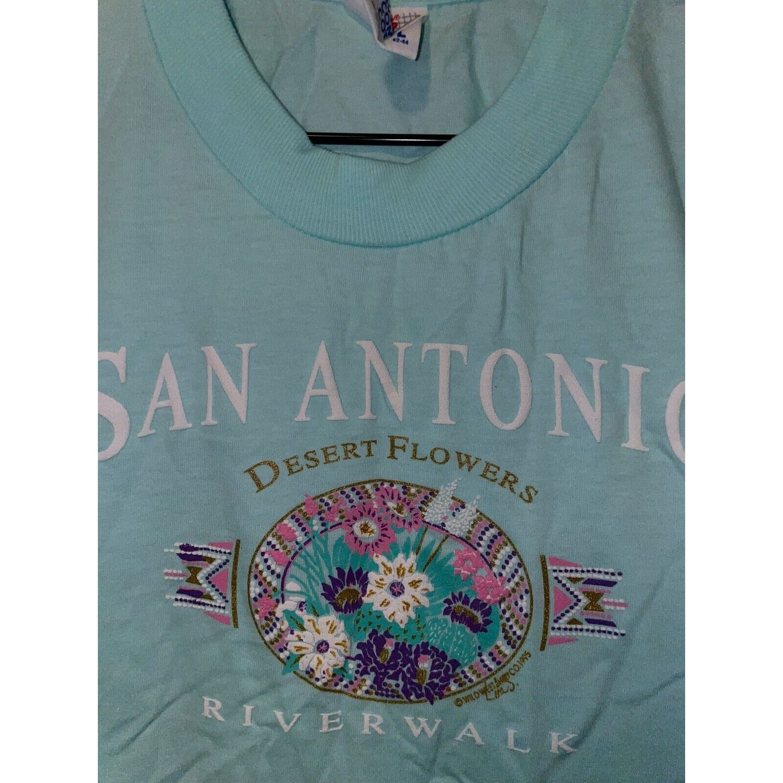 Jerzees Vintage Riverwalk Shirt San Antonio Desert Flower Tee 90s L Size US L / EU 52-54 / 3 - 5 Thumbnail