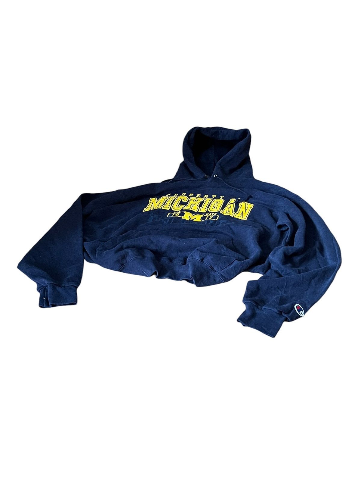 Champion Champion Vintage Property of Michigan Wolverines Hoodie Size US L / EU 52-54 / 3 - 3 Thumbnail