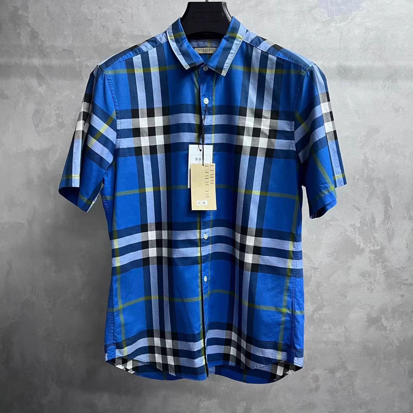 Burberry Burberry Blue Classic Button-Down SS Shirt M Size US M / EU 48-50 / 2 - 1 Thumbnail