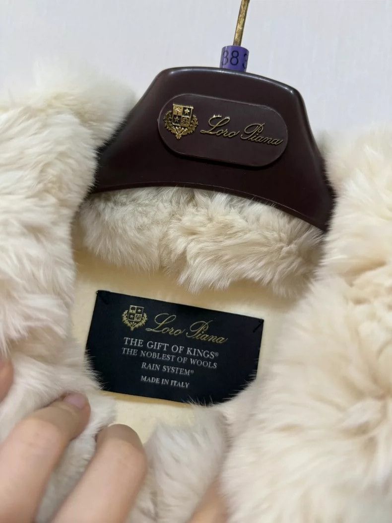 Loro Piana LORO PIANA Dragon Cat cloak overcoat Size M / US 6-8 / IT 42-44 - 3 Thumbnail