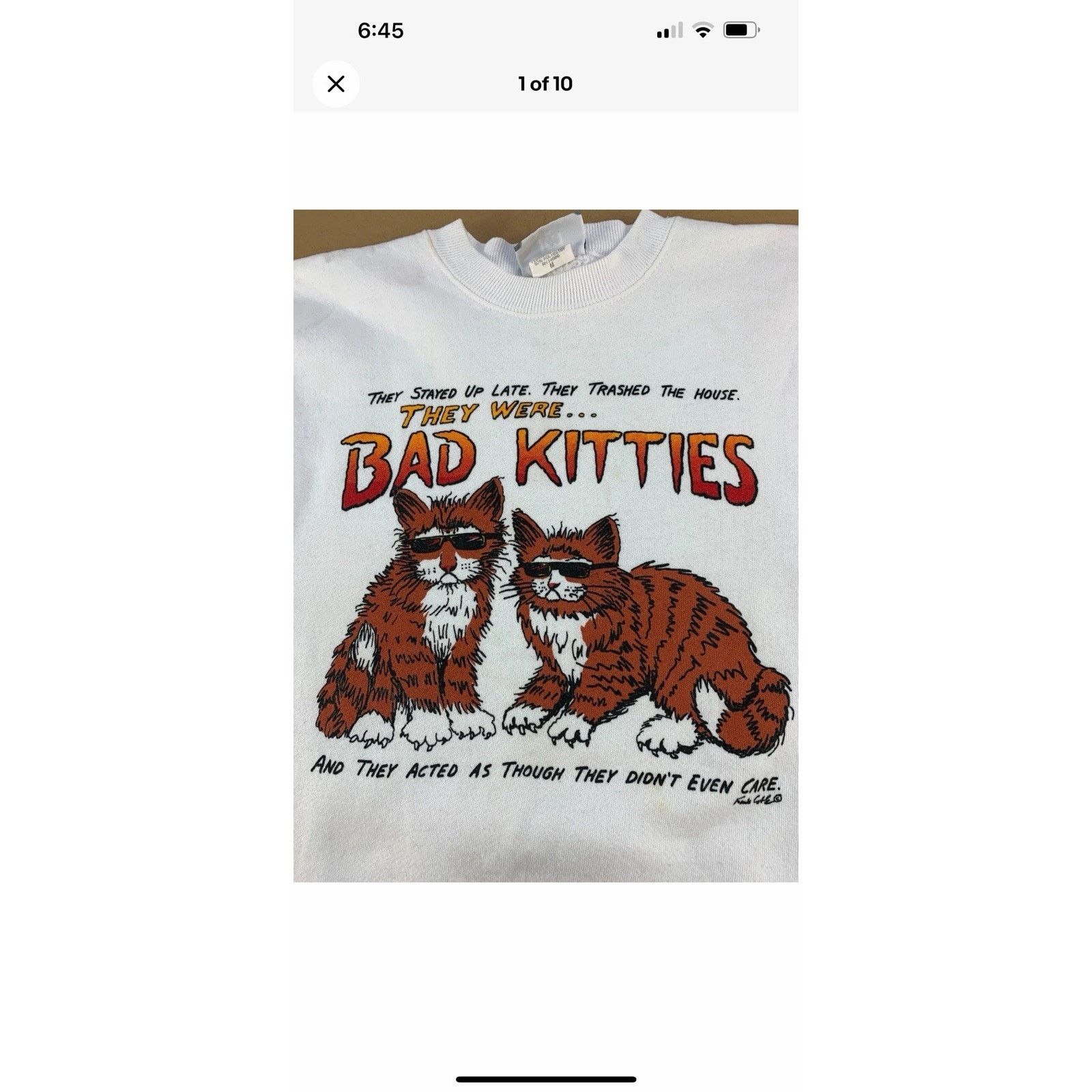 Other Vintage 90s Grunge Skate Bad Kitties Frank Coble Sweatshirt Size US M / EU 48-50 / 2 - 1 Thumbnail