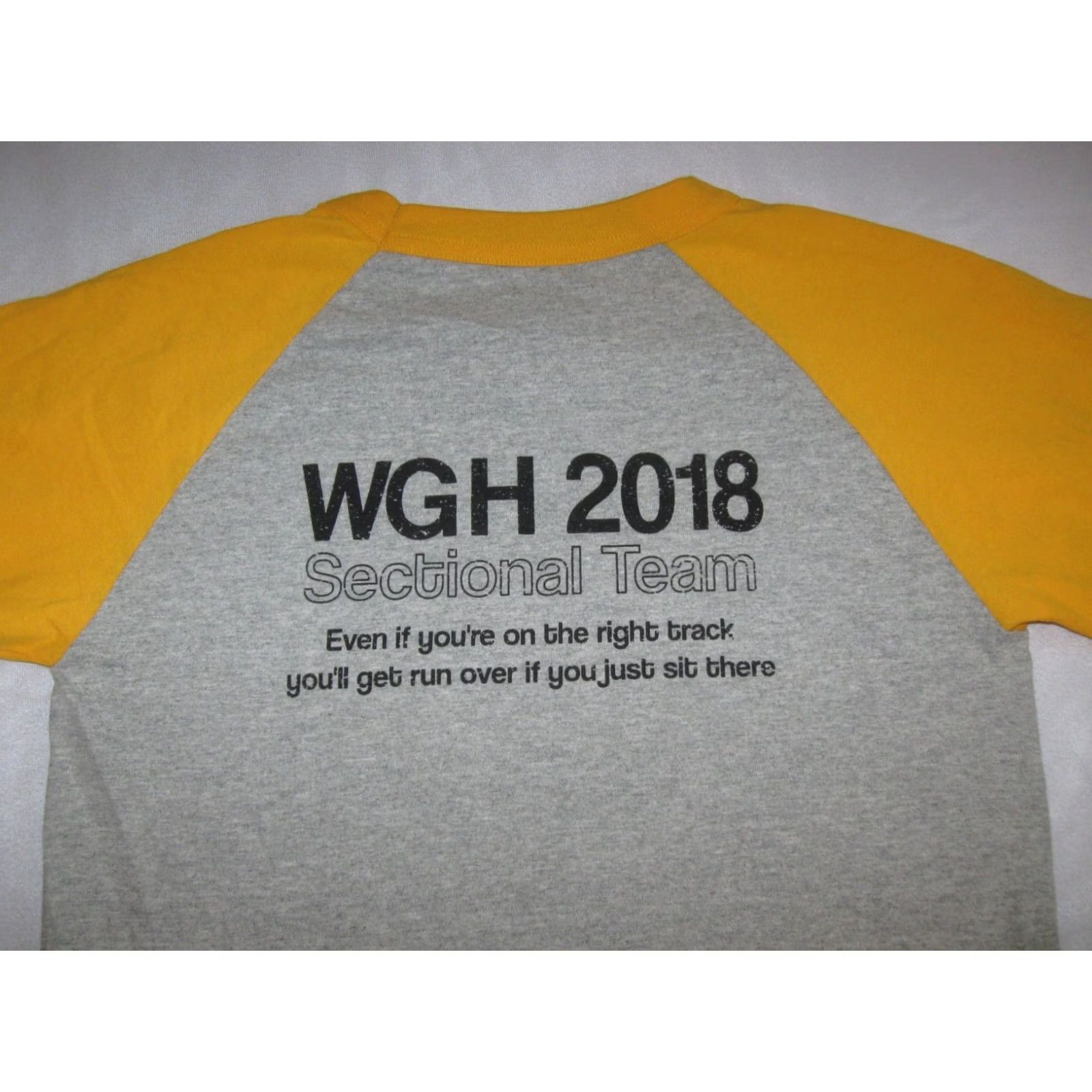 Champion Champion Warren Harding Raiders Swimming & Diving Raglan Shirt Adult Small Gray 3/4 Sleeve T-Shirt (WGH) Mens Size US S / EU 44-46 / 1 - 3 Thumbnail