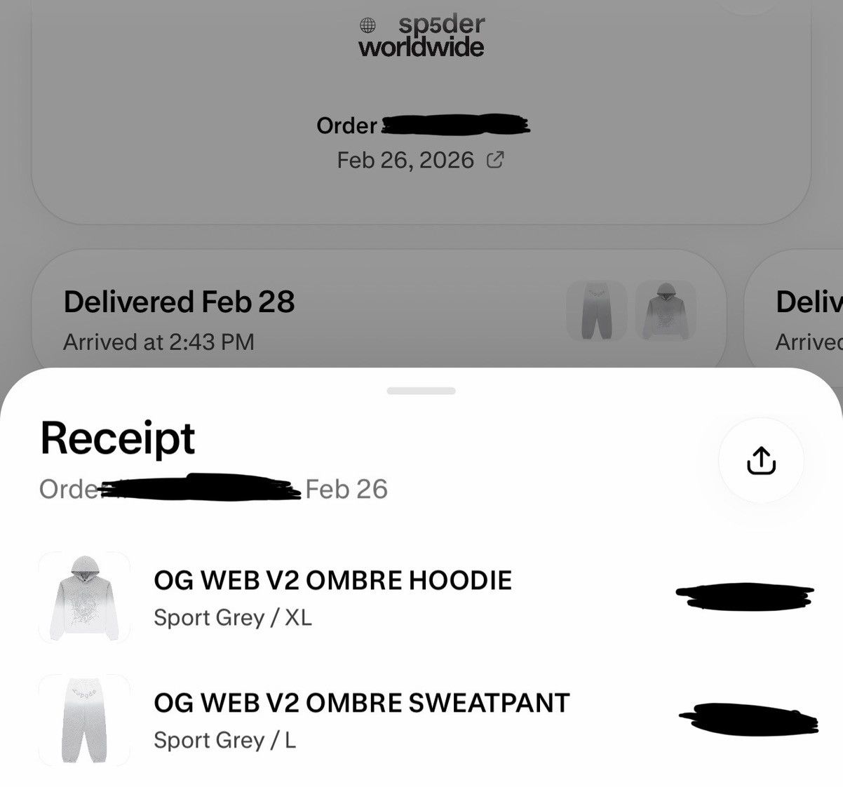 Sp5der Sp5der OG Web V2 Hoodie Size US XL / EU 56 / 4 - 7 Thumbnail