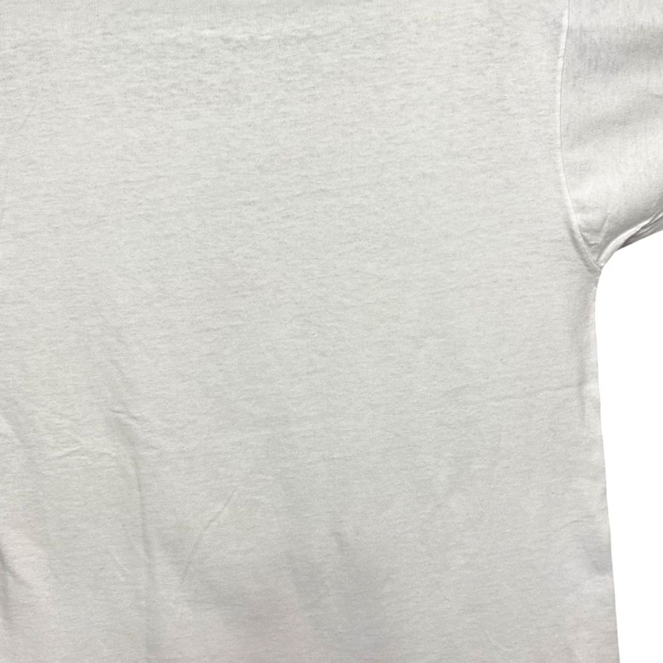 Fruit Of The Loom VINTAGE Fruit of the Loom T-Shirt Washington D.C. Graphic Print White 1990s Mens M Short Sleeve Crew Neck Size US M / EU 48-50 / 2 - 6 Thumbnail