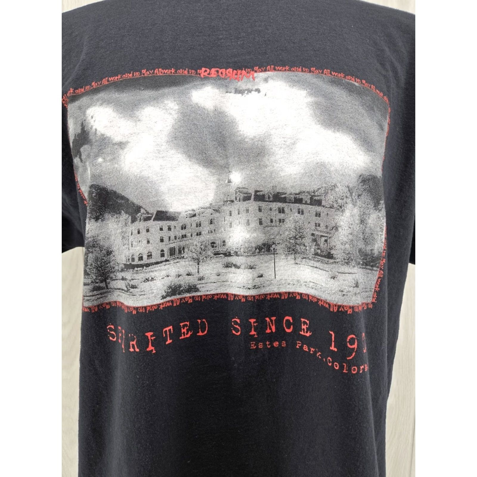 Gildan Gildan Estes Park T Shirt Mens XL Graphic Tee Colorado Stanley Hotel Redrum Photo 1909 Black Cotton Short Sleeve Crew Neck 30" Down Back 1909s Size US XL / EU 56 / 4 - 3 Thumbnail