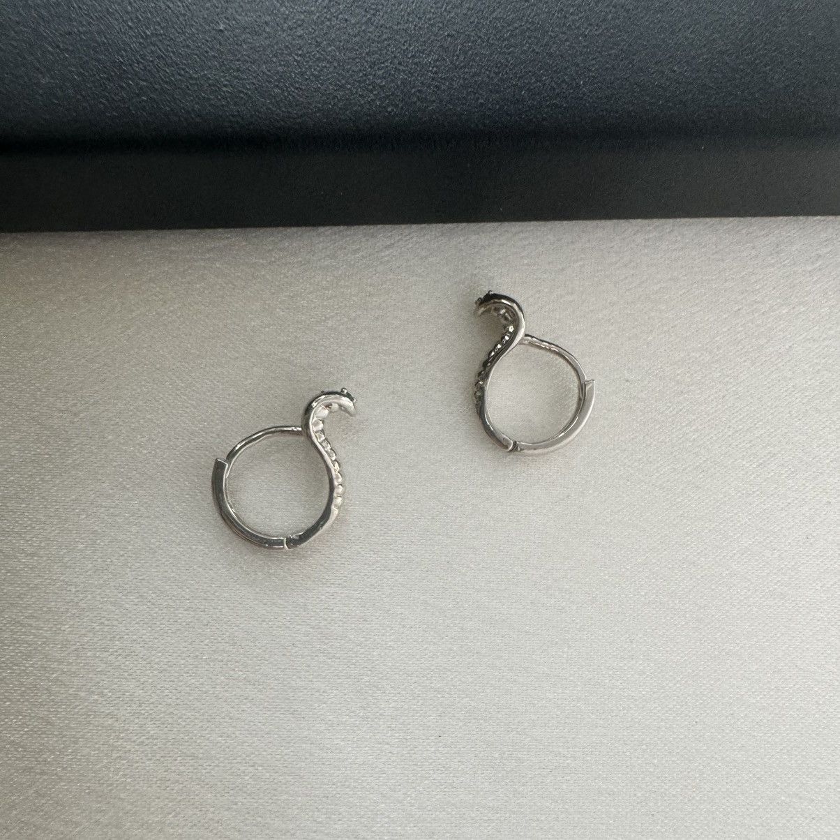 Other Snake Small Hoop Earrings for Men Women Hip Hop Unisex Style Size ONE SIZE - 4 Thumbnail