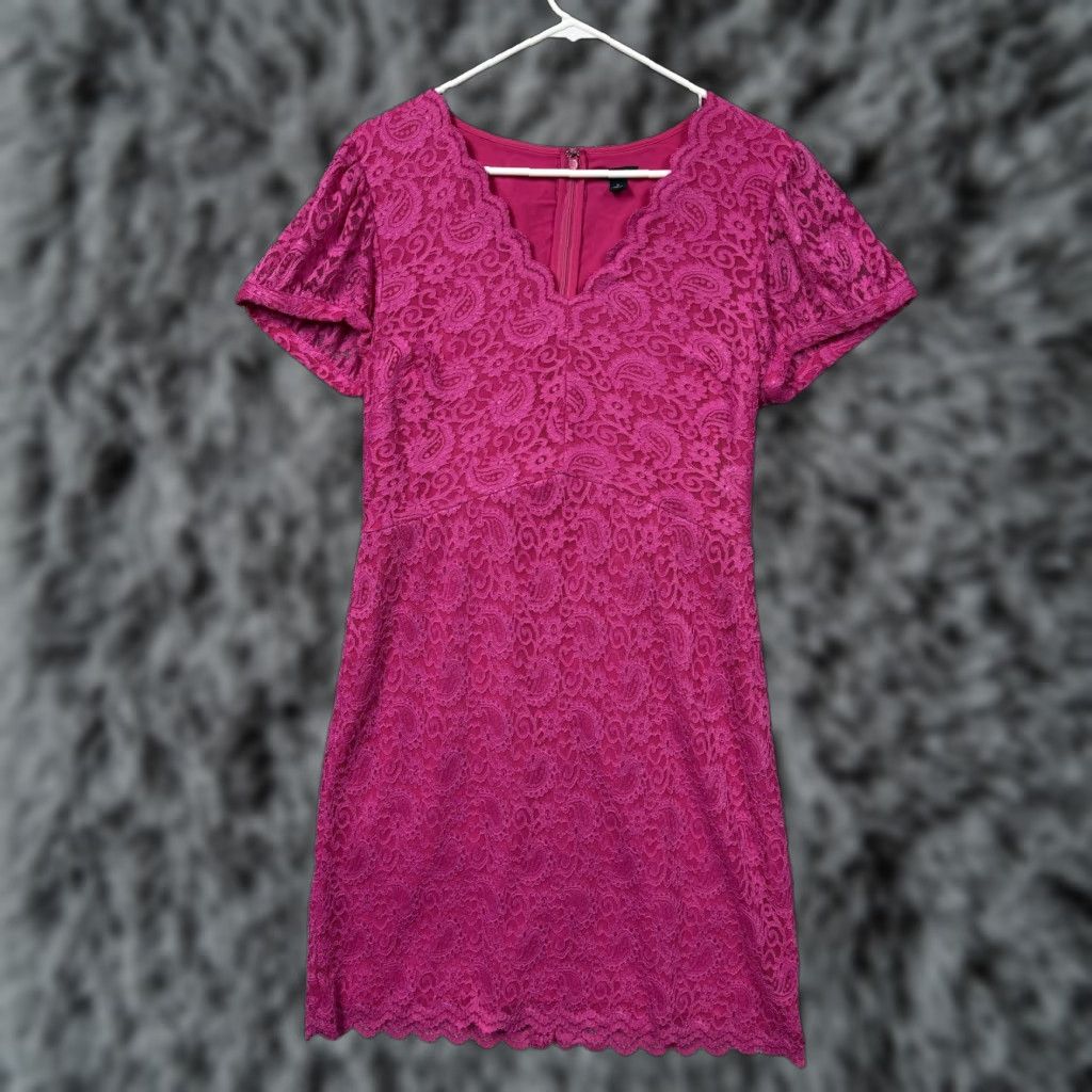 Ann Taylor Factory Dress 10 Pink Lace Sheath Knee Length V-Neck Flutter  Sleeve Party Wedding Womens - barnbuds.com