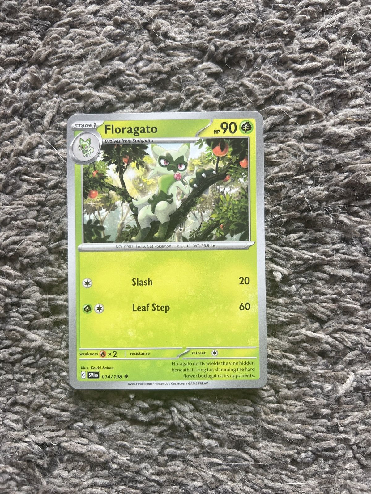 Hypebeast × Nintendo × Pokemon 2023 Pokémon Floragato Stage 1 Card Size ONE SIZE - 1 Thumbnail