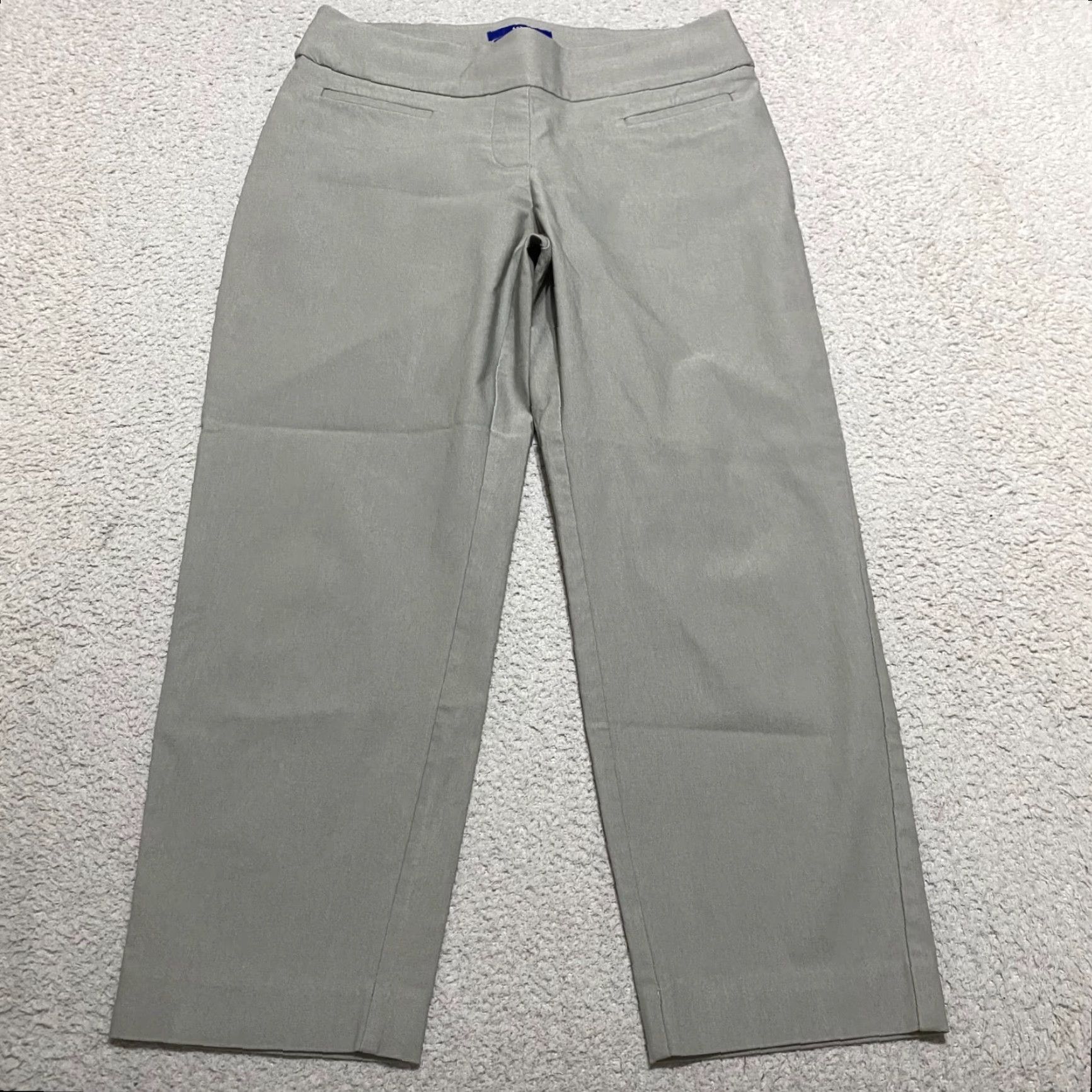 Apt. 9 Apt. 9 Womens Dress Pants Beige Stretch Brynn Pull-On Business Office Flat Front 10 Pants Womens2010s Size 32" / US 10 / IT 46 - 2 Thumbnail