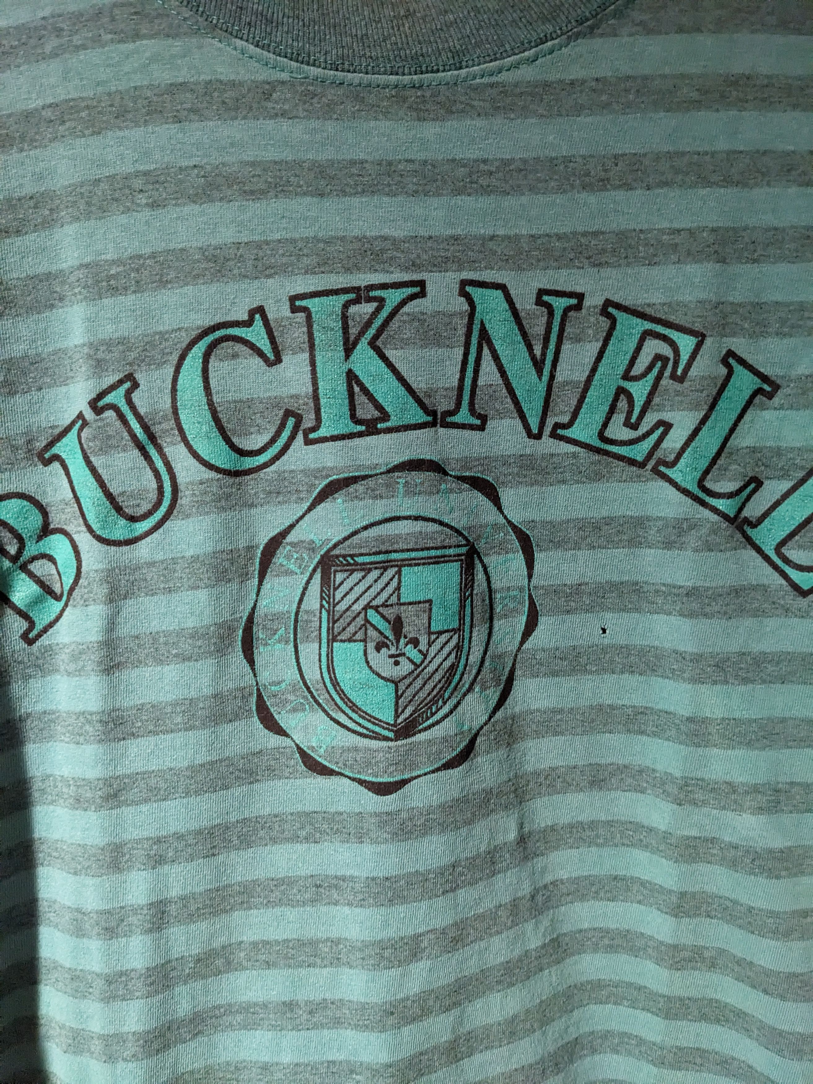 Vintage Vintage 90s Bucknell University Arch Logo X-Large T-Shirt Size US XL / EU 56 / 4 - 2 Thumbnail