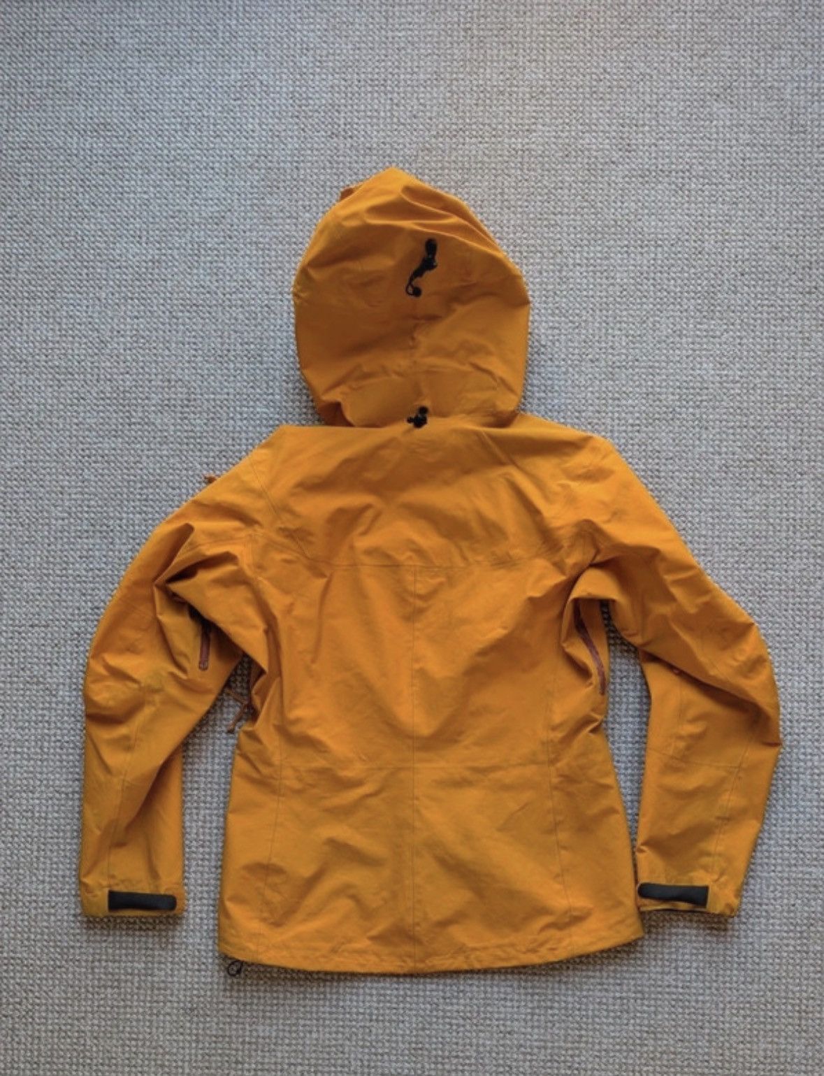 Arc'teryx Arc’teryx Alpha SV canada Size S / US 4 / IT 40 - 2 Thumbnail
