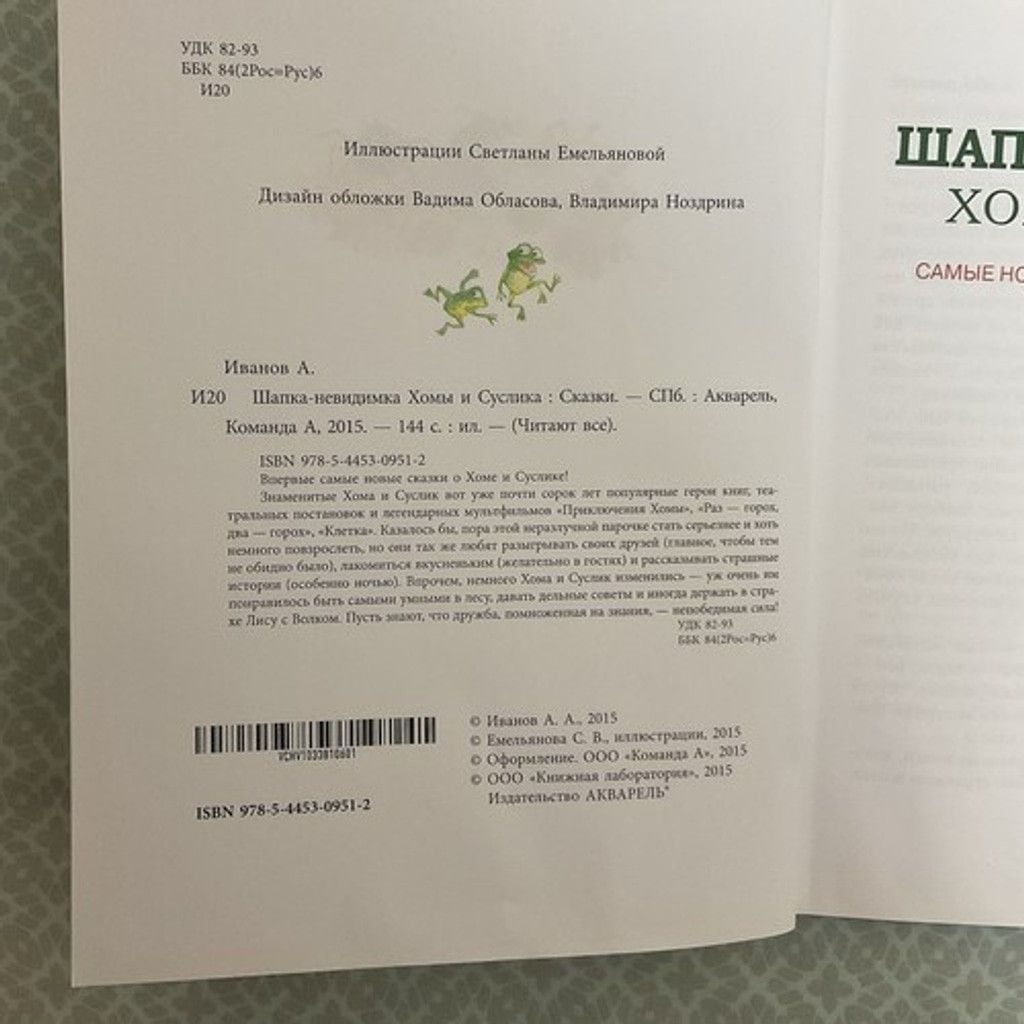 The Unbranded Brand Альберт Иванов Шапка Невидимка Хомы и Суслика kids book 3-7 Size ONE SIZE - 12 Thumbnail