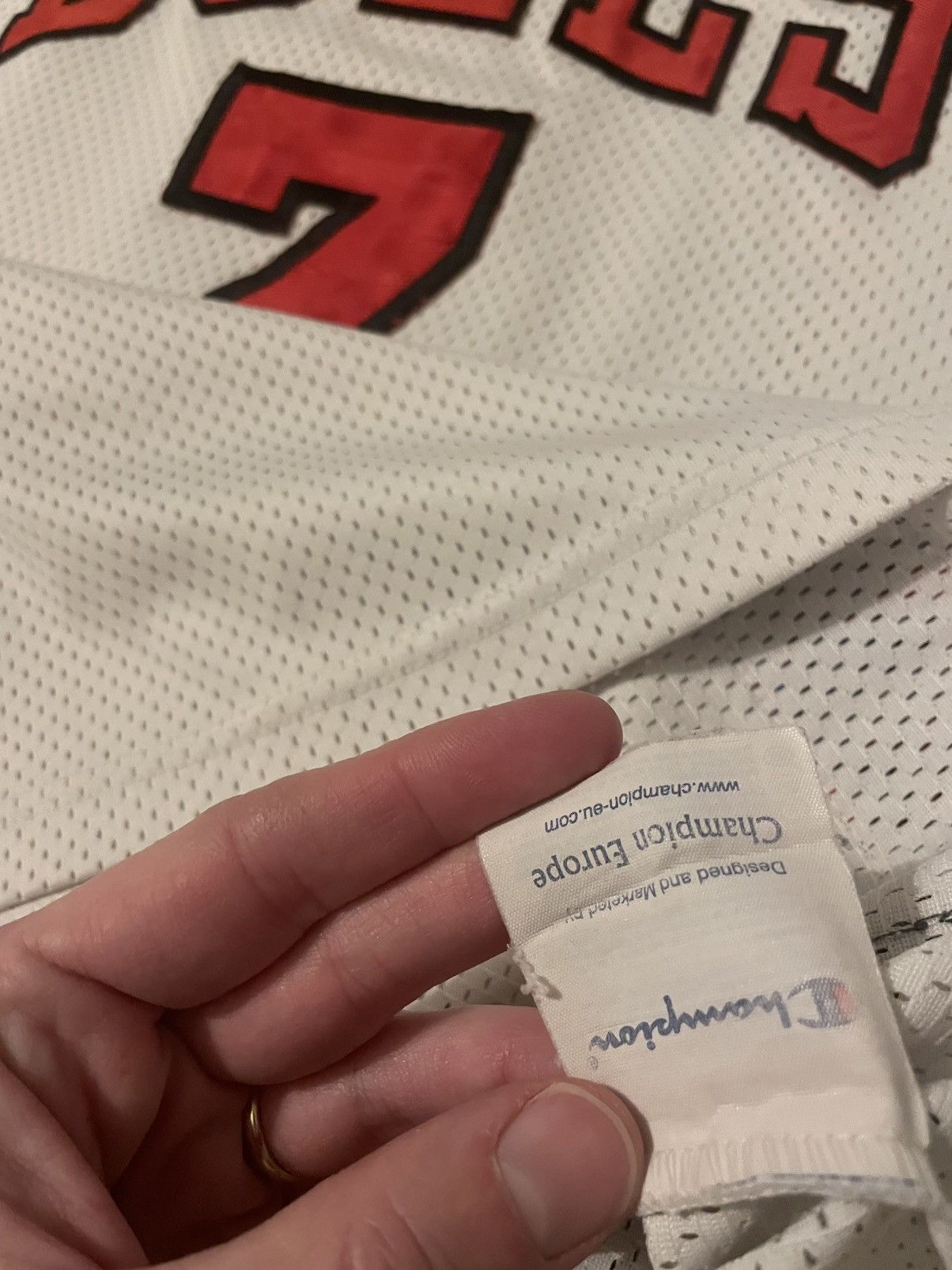 Champion NBA Chicago Bulls Gordon jersey Champion jordan pippen kukoc Size US M / EU 48-50 / 2 - 6 Thumbnail