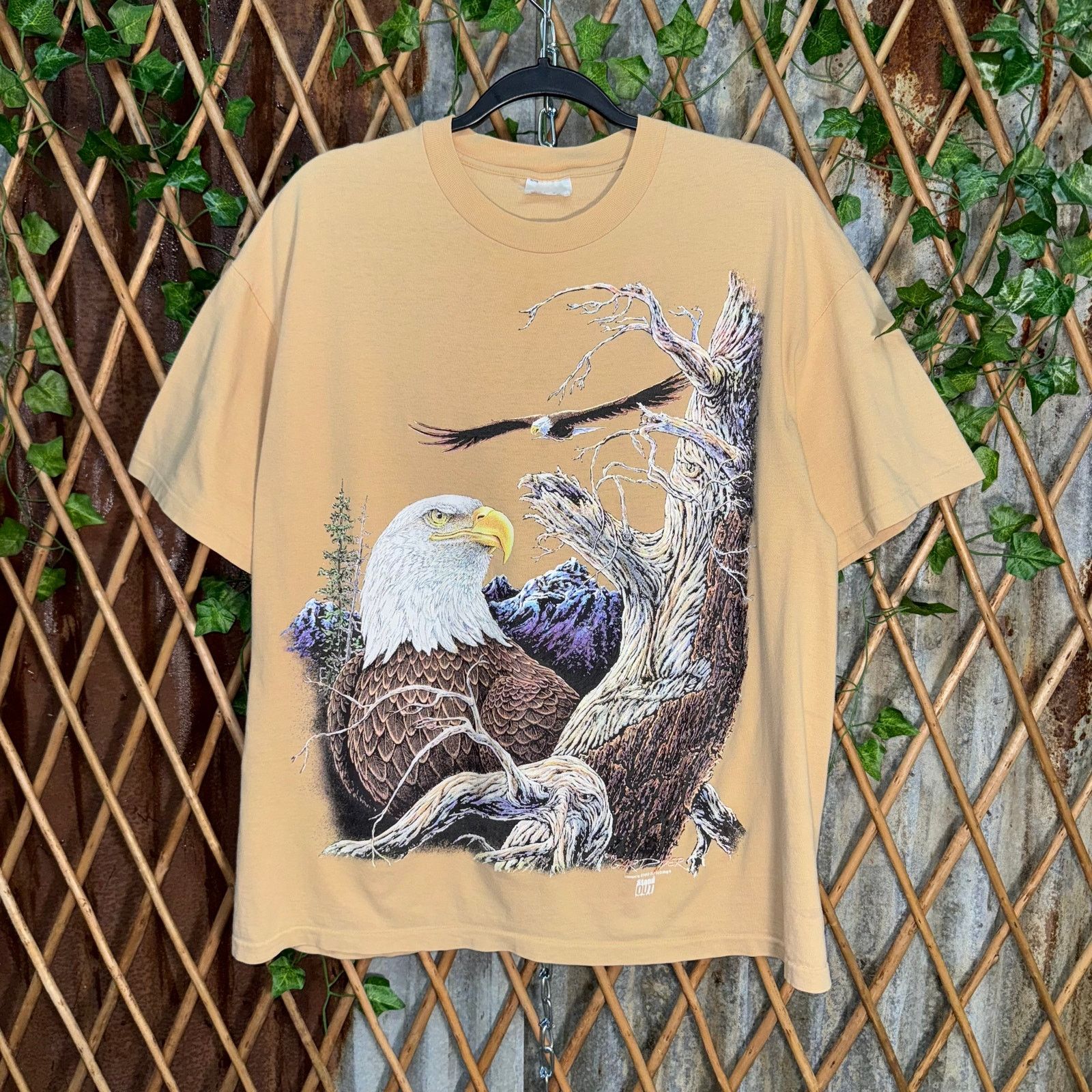 Hanes Vintage Y2K bald eagle flying 1990s nature mountains t-shirt Size US L / EU 52-54 / 3 - 1 Thumbnail