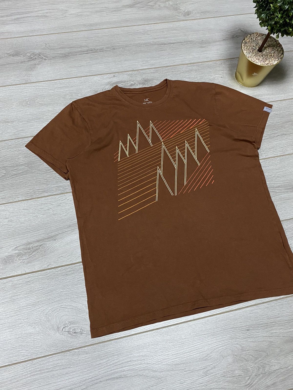 Arc'teryx Arcteryx bird vintage mountain t-shirt Size US L / EU 52-54 / 3 - 5 Thumbnail