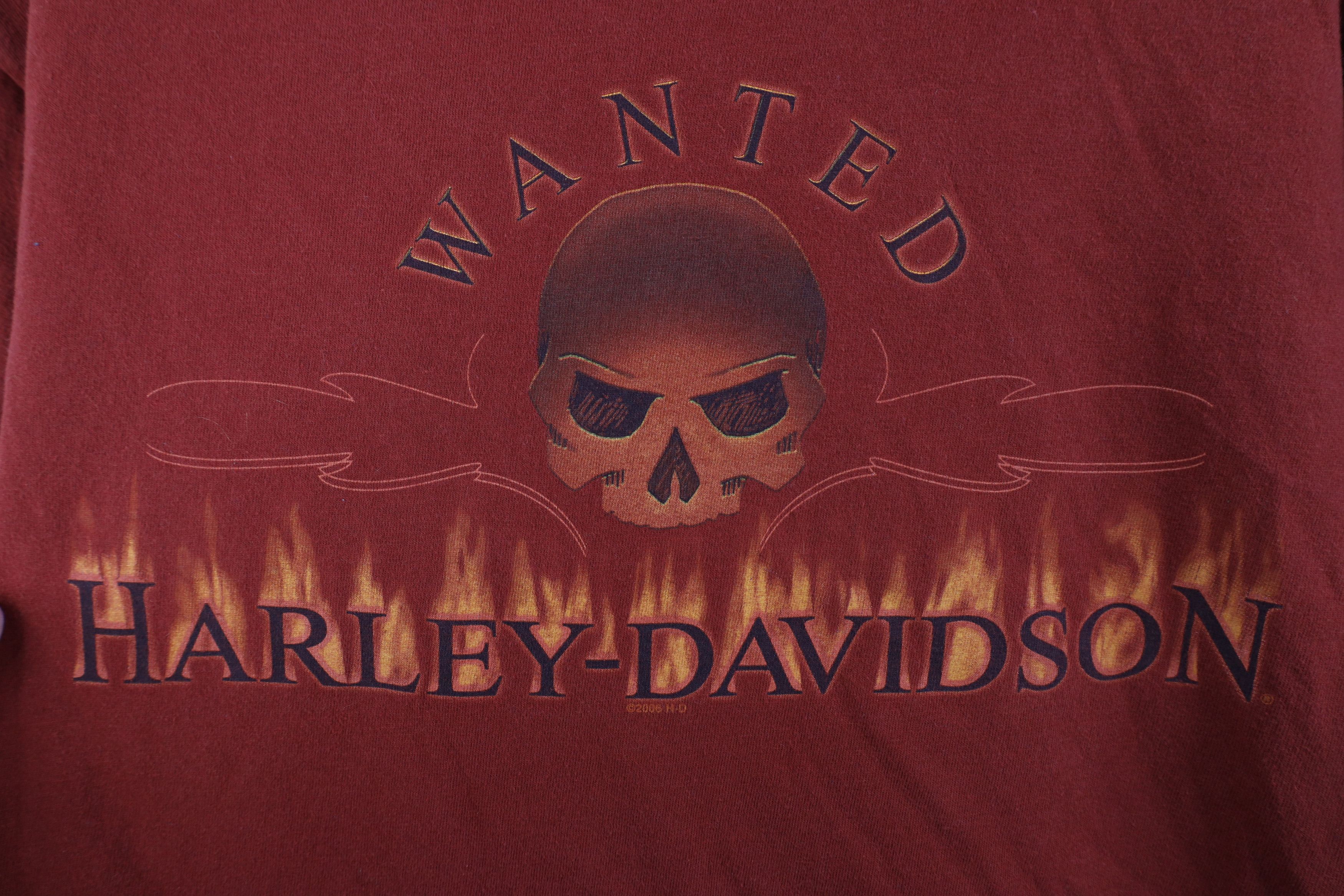 Harley Davidson Vintage Y2K Harley Davidson Fire Flames T-Shirt Orange USA Size US L / EU 52-54 / 3 - 4 Thumbnail