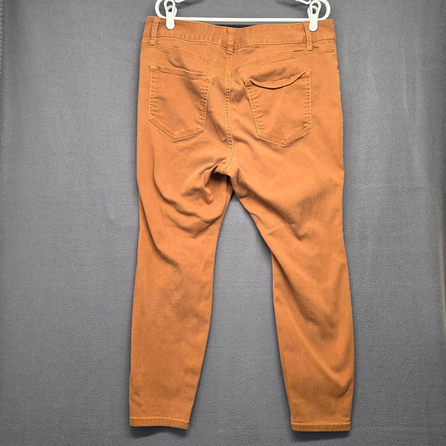 Vintage Lane Bryant Rust Orange Skinny Jeans Womens Plus Size 18 Stretch Denim Pants Ankle Womens 18 Plus Size Orange Jeans Size 40" / US 18 - 2 Thumbnail