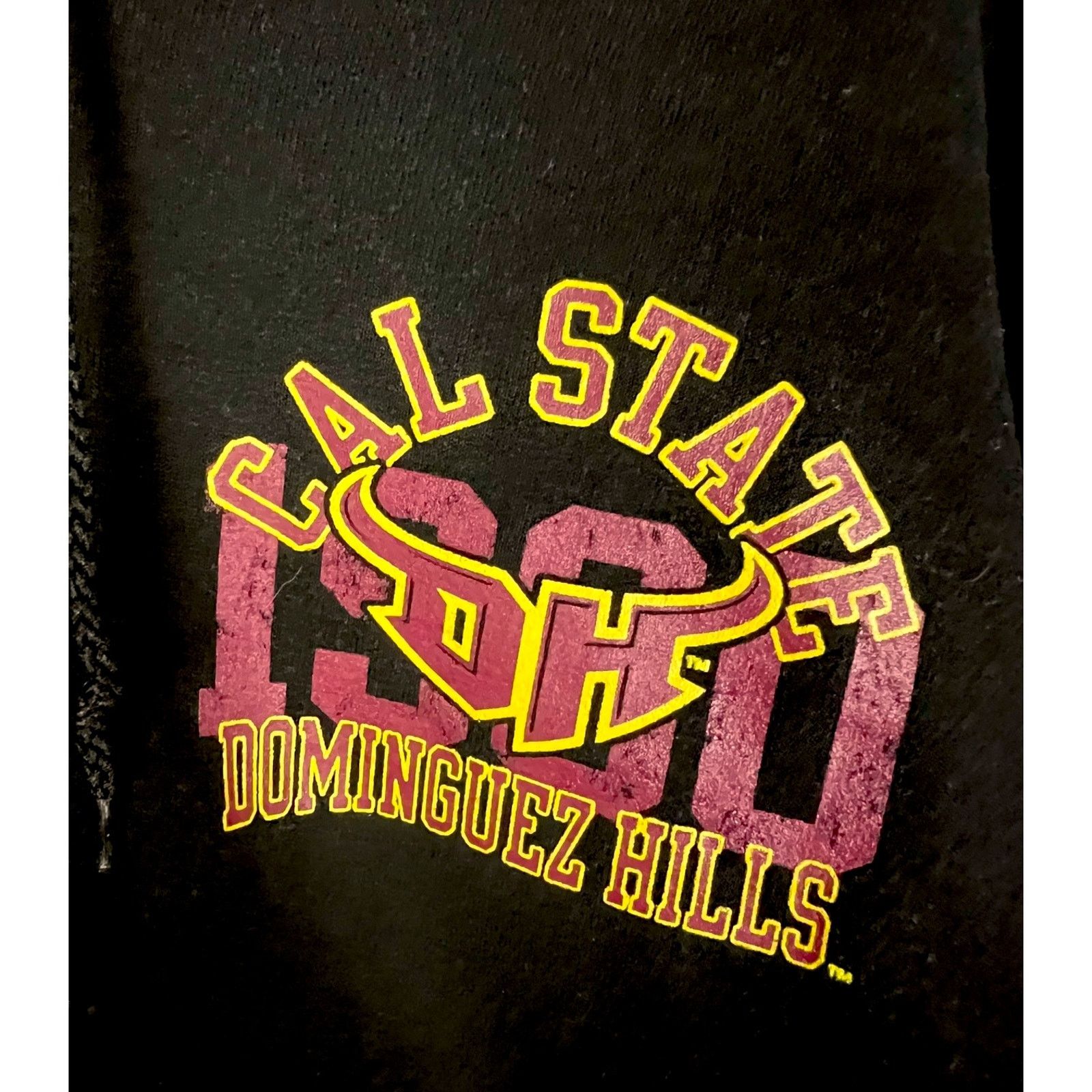 Champion Cal State Dominguez Hills CSDH Champion Full Zip Hoodie S Size US S / EU 44-46 / 1 - 3 Thumbnail