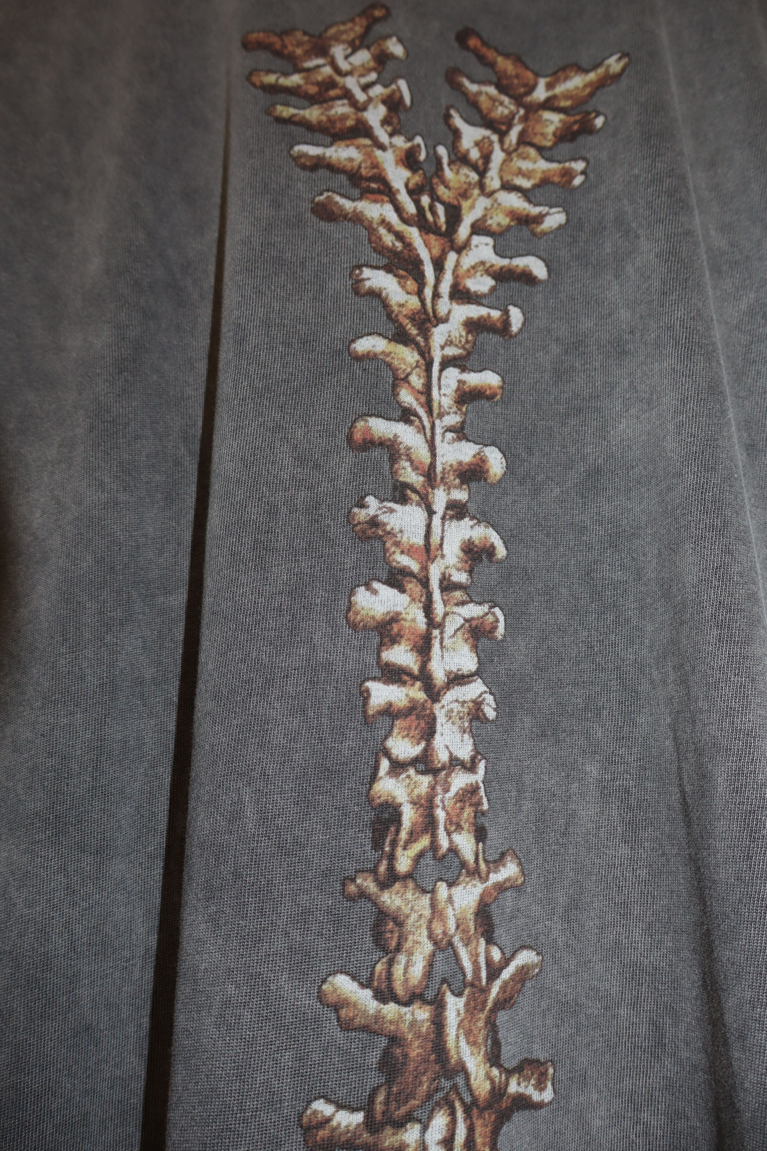 Represent Clo. Bones vintage print t-shirt Size US L / EU 52-54 / 3 - 8 Thumbnail
