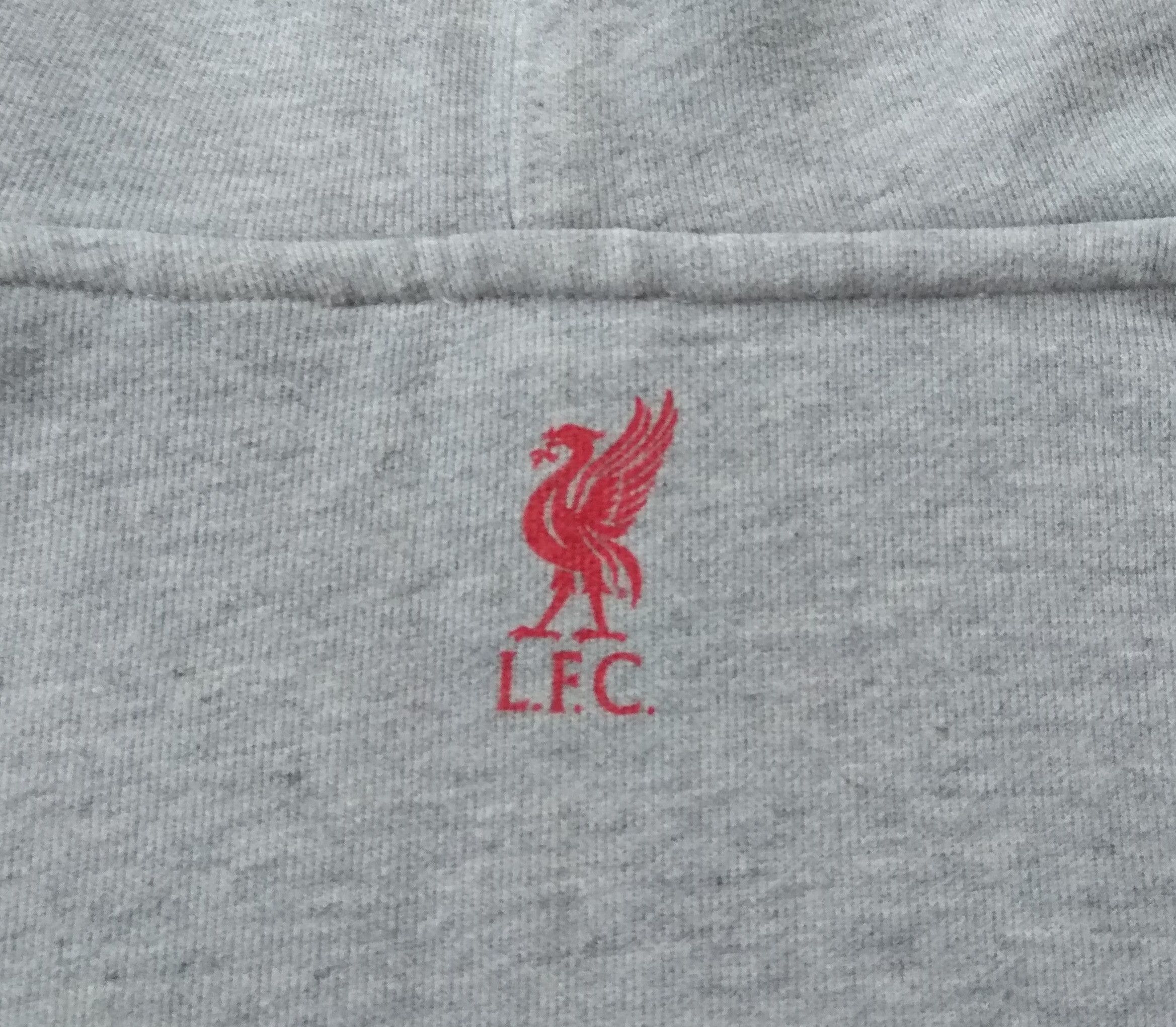 Levi's Levi’s x Liverpool YNWA Hoodie Soccer Football Size US S / EU 44-46 / 1 - 7 Thumbnail