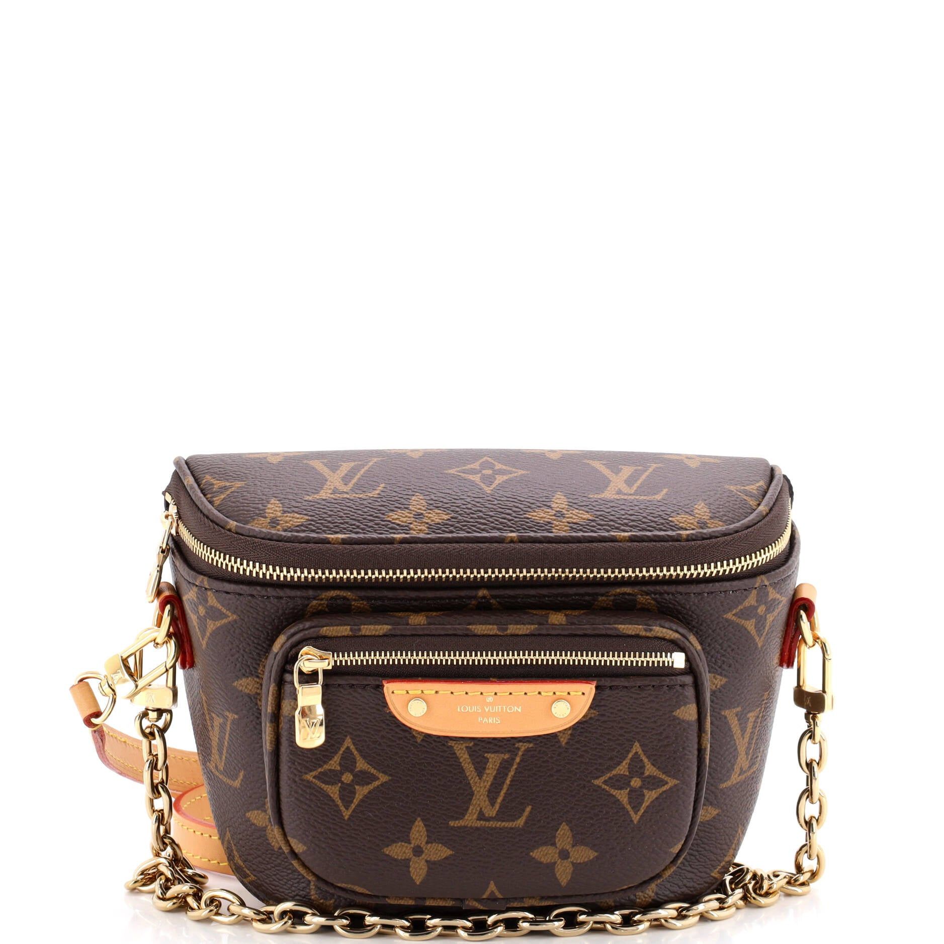 Louis Vuitton Bum Bag Size ONE SIZE - 1 Thumbnail