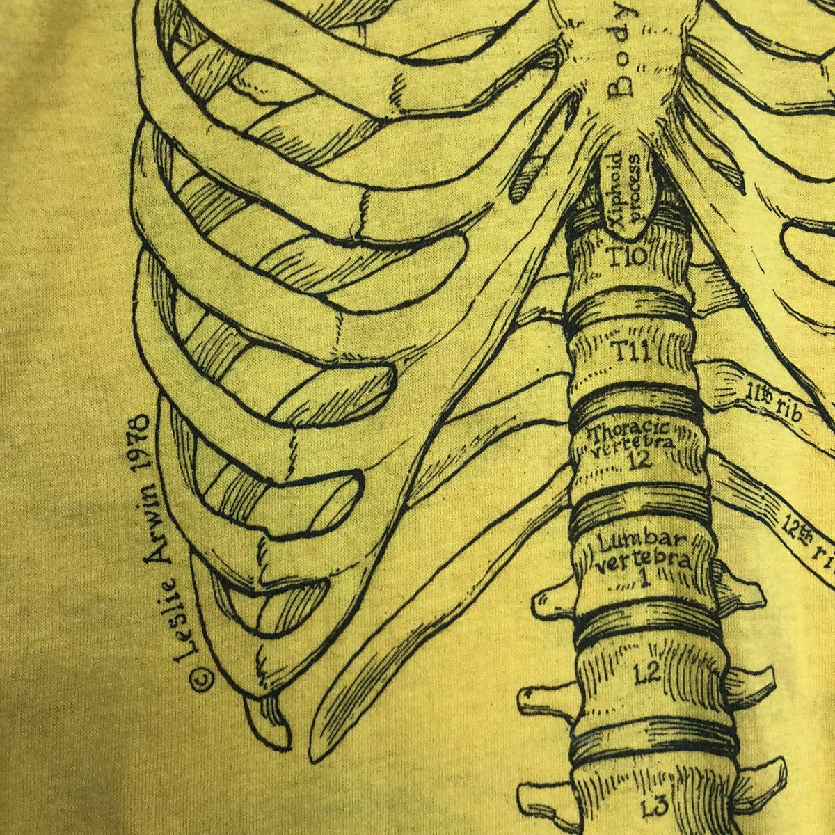 Art Comes First VINTAGE ART LESLIE ARWIN 1978 ANATOMY SKULL BONES TSHIRT Size US L / EU 52-54 / 3 - 9 Thumbnail