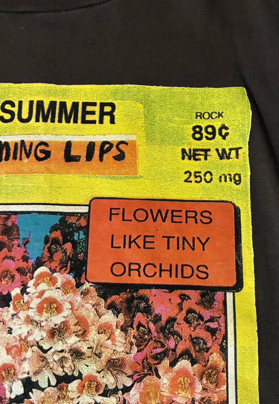 Vintage Vintage Flaming Lips “Now in summer” t-shirt Size US XL / EU 56 / 4 - 4 Thumbnail