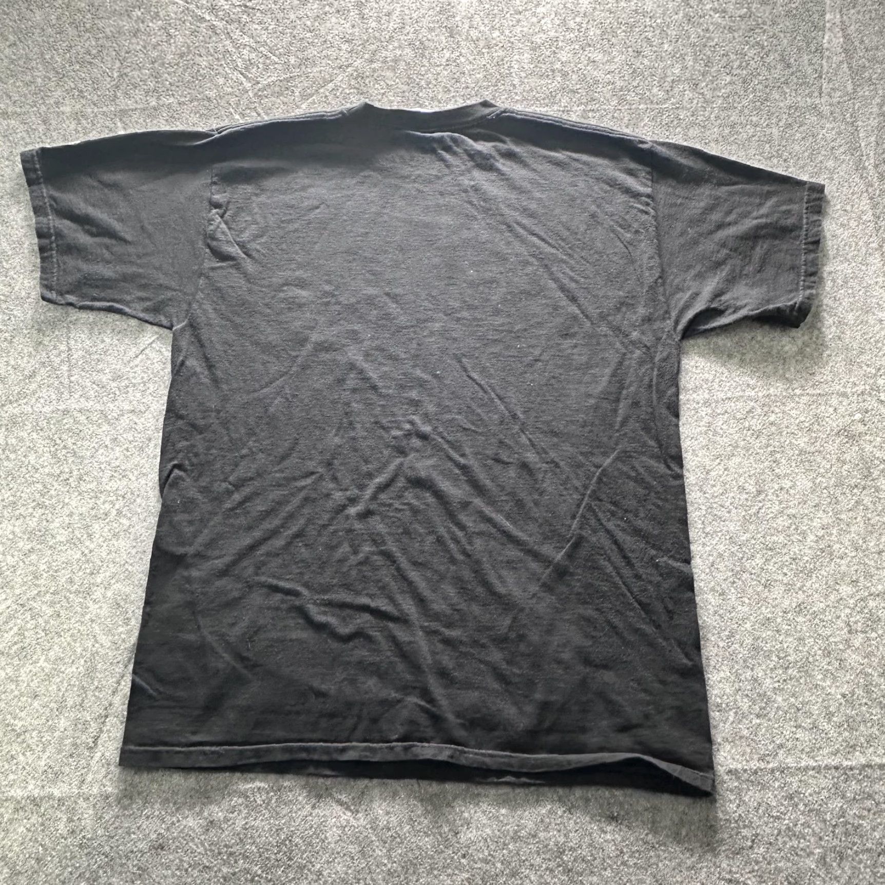 Champion Vintage Champion Shirt Mens Large Black UW-River Falls Graphic College Tee 90s Size US L / EU 52-54 / 3 - 8 Thumbnail
