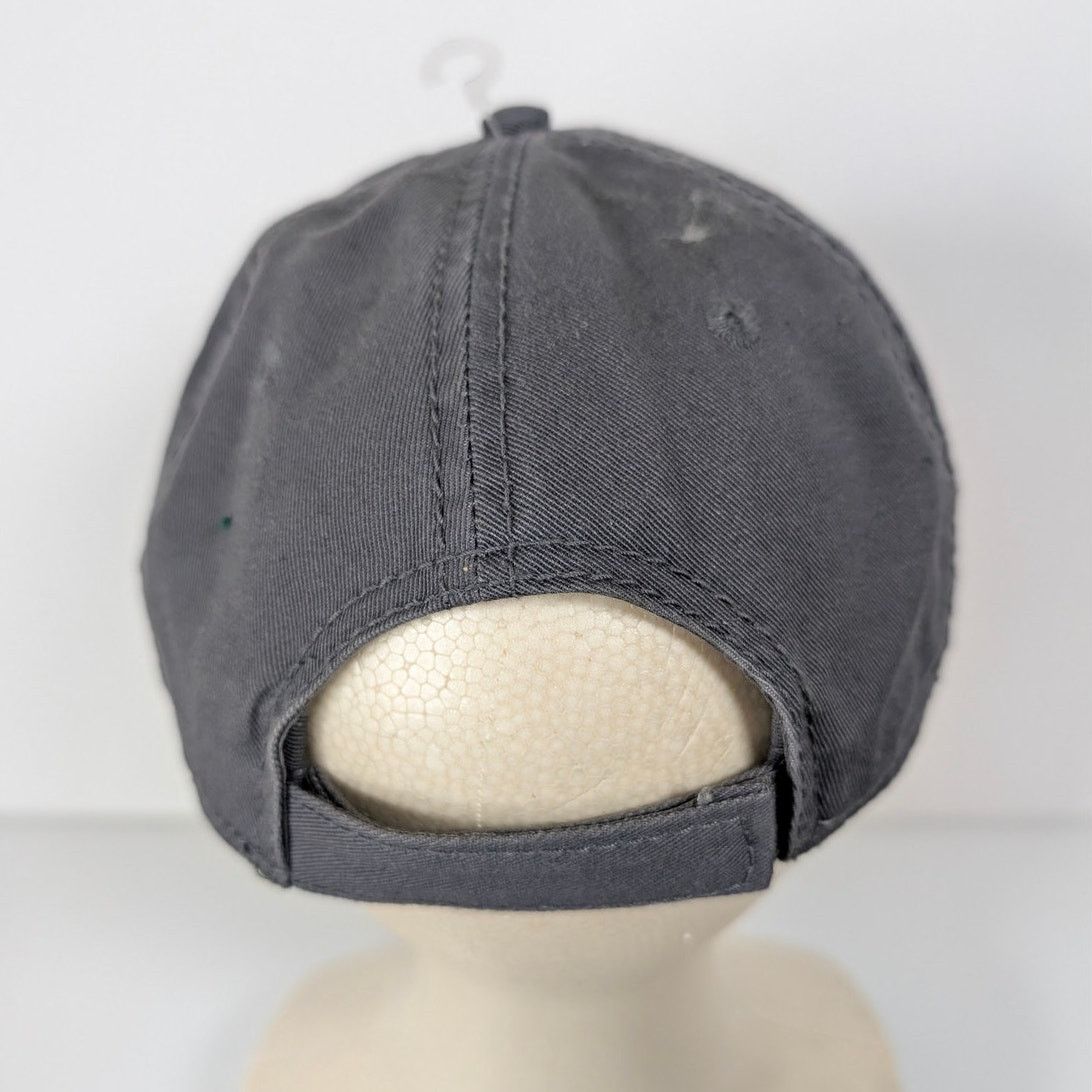 Universal Studios Duff Beer Hat Universal Studios The Simpsons Adjustable Cap Size ONE SIZE - 2 Thumbnail