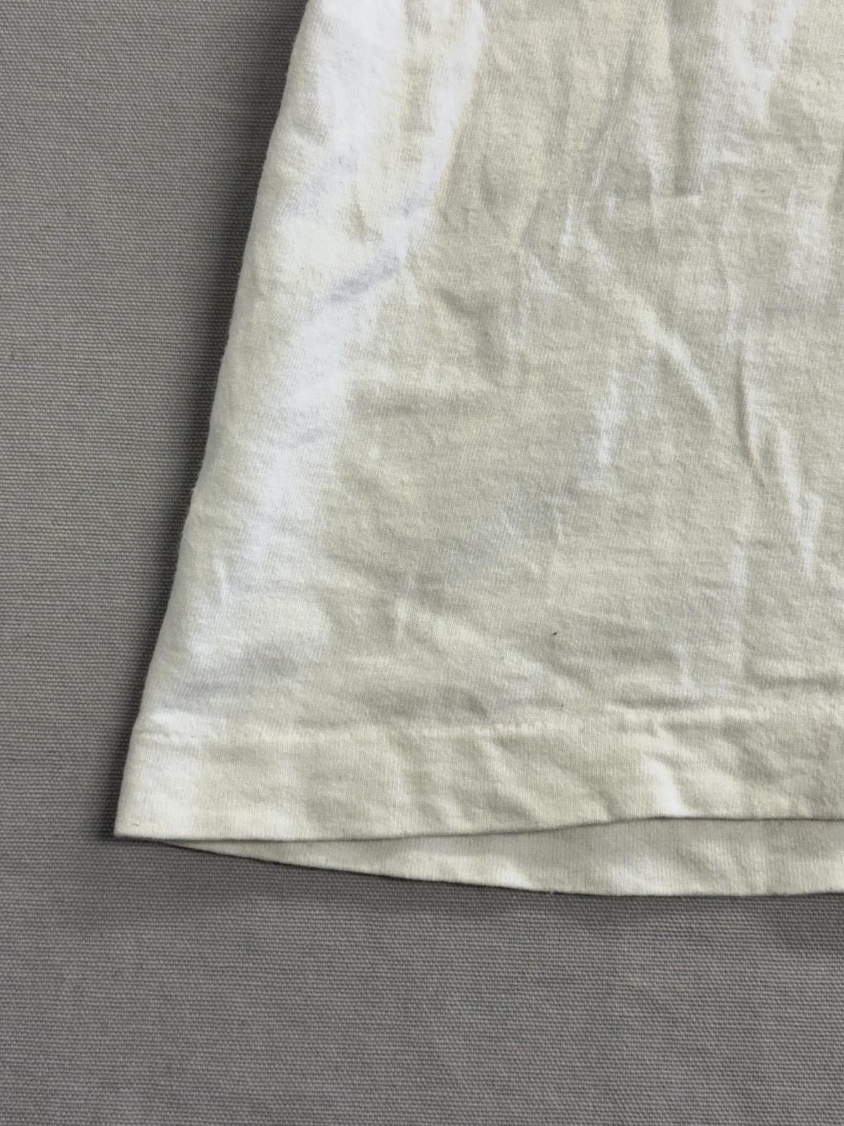 Fruit Of The Loom Vintage Bay Day Festival T-shirt Sylvan Beach Park Bird XL Size US XL / EU 56 / 4 - 5 Thumbnail