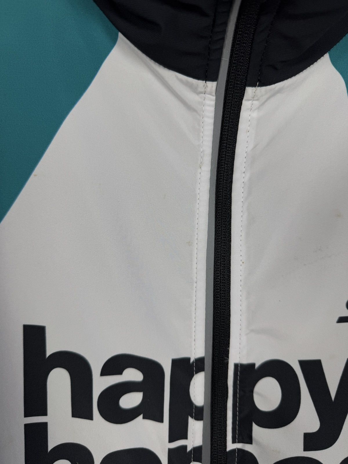 Other Men’s Swix Happy Homes Vest Biatlhon Sportswear Gilet Size L Size US L / EU 52-54 / 3 - 20 Thumbnail