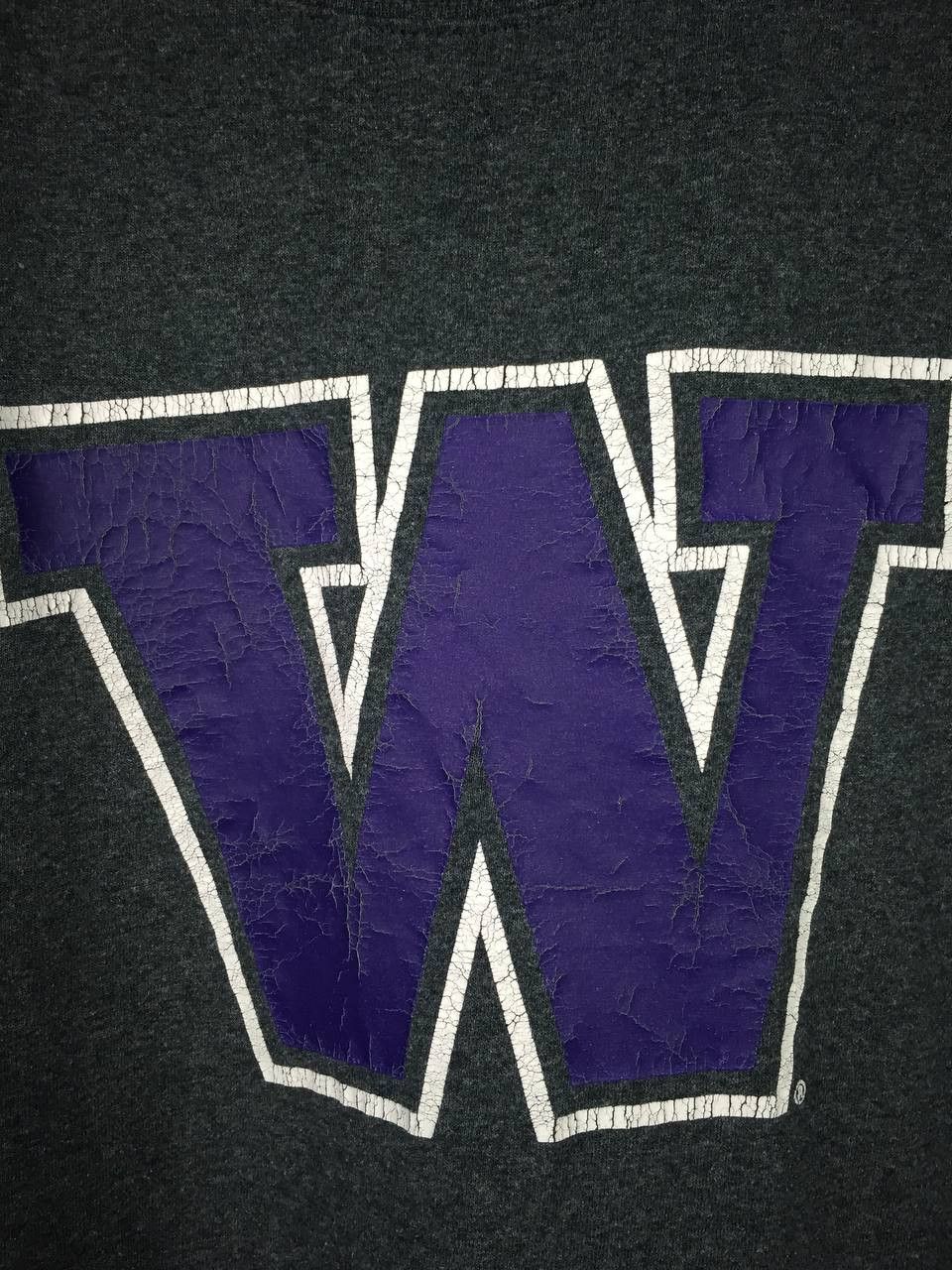 Champion × NFL × Vintage Champion Washington Huskies NFL American Sport Tee Size US M / EU 48-50 / 2 - 4 Thumbnail