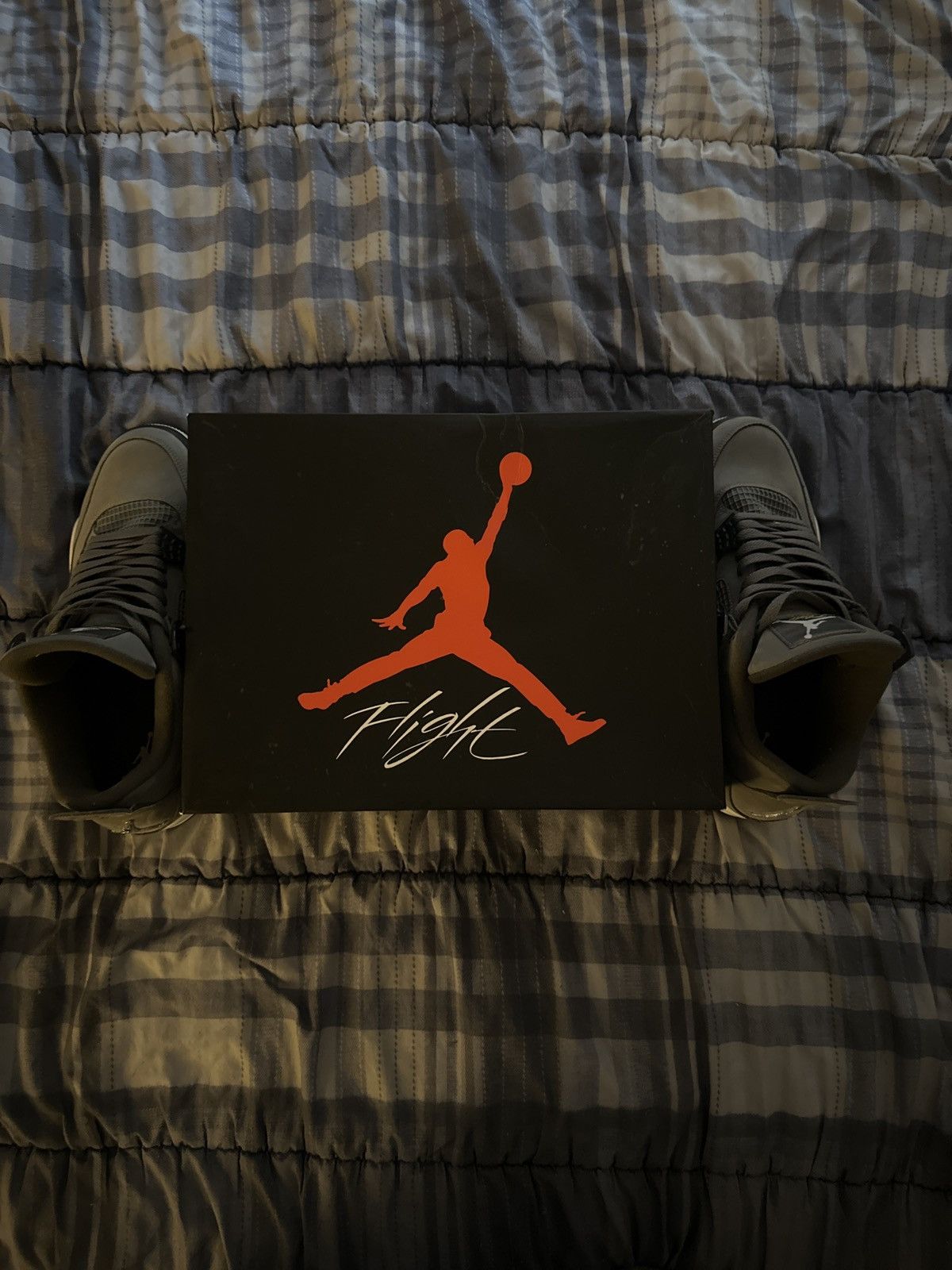 Jordan Brand Jordan 4 Retro Cool Grey (2019) Size US 13 / EU 46 - 9 Thumbnail