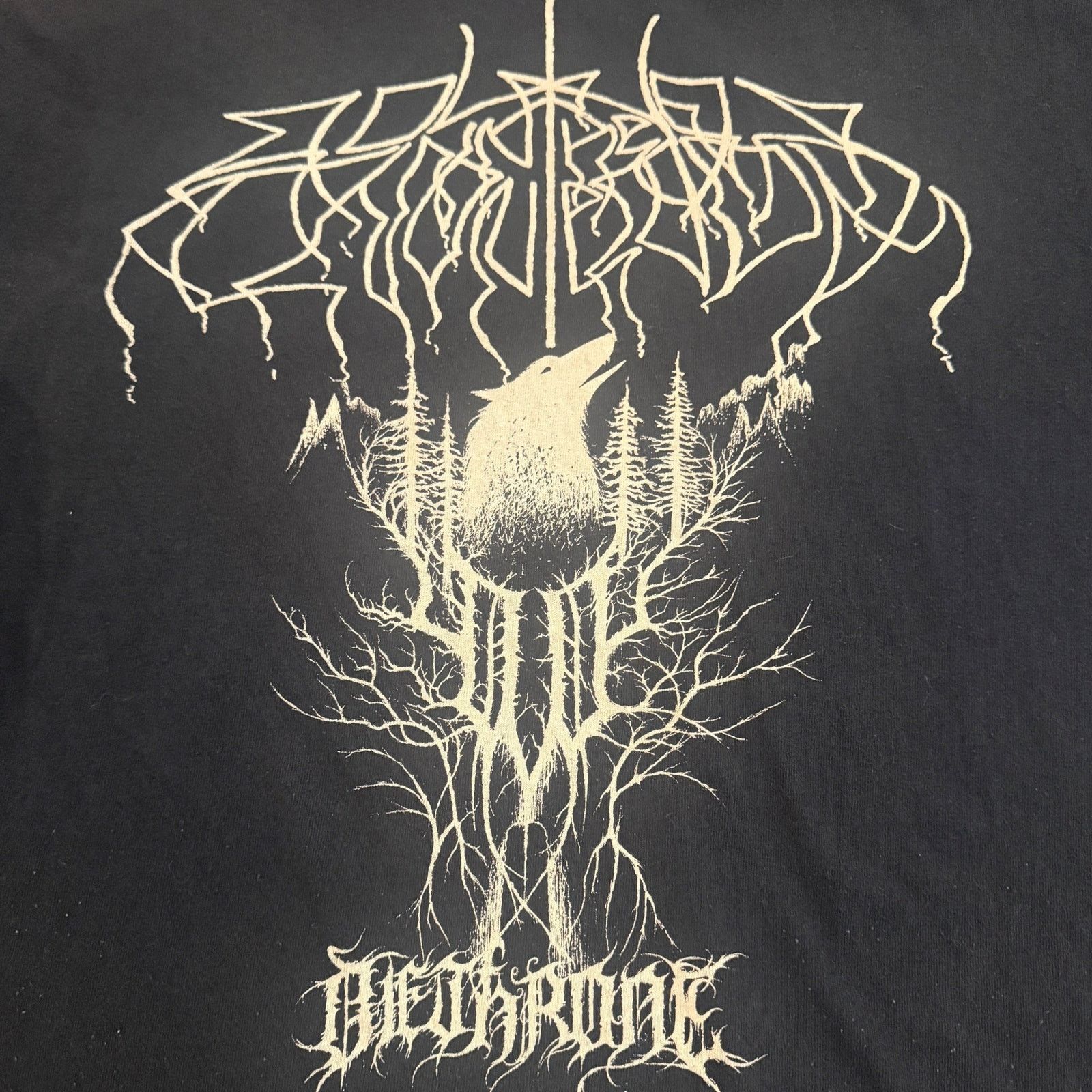 Other Wolves In The Throne Room Band Dethrone Vintage Shirt Size M Size US M / EU 48-50 / 2 - 2 Thumbnail